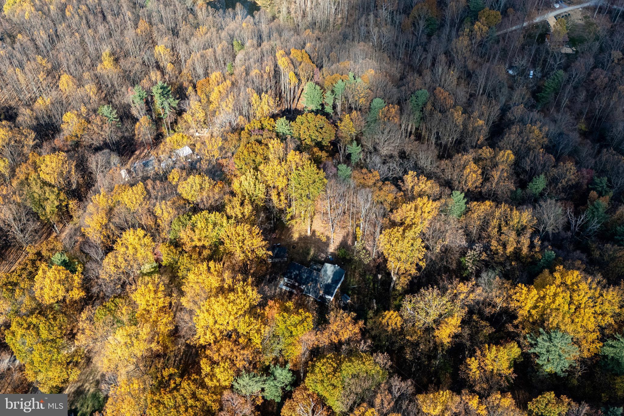 SHEN HIGHLANDS - Land