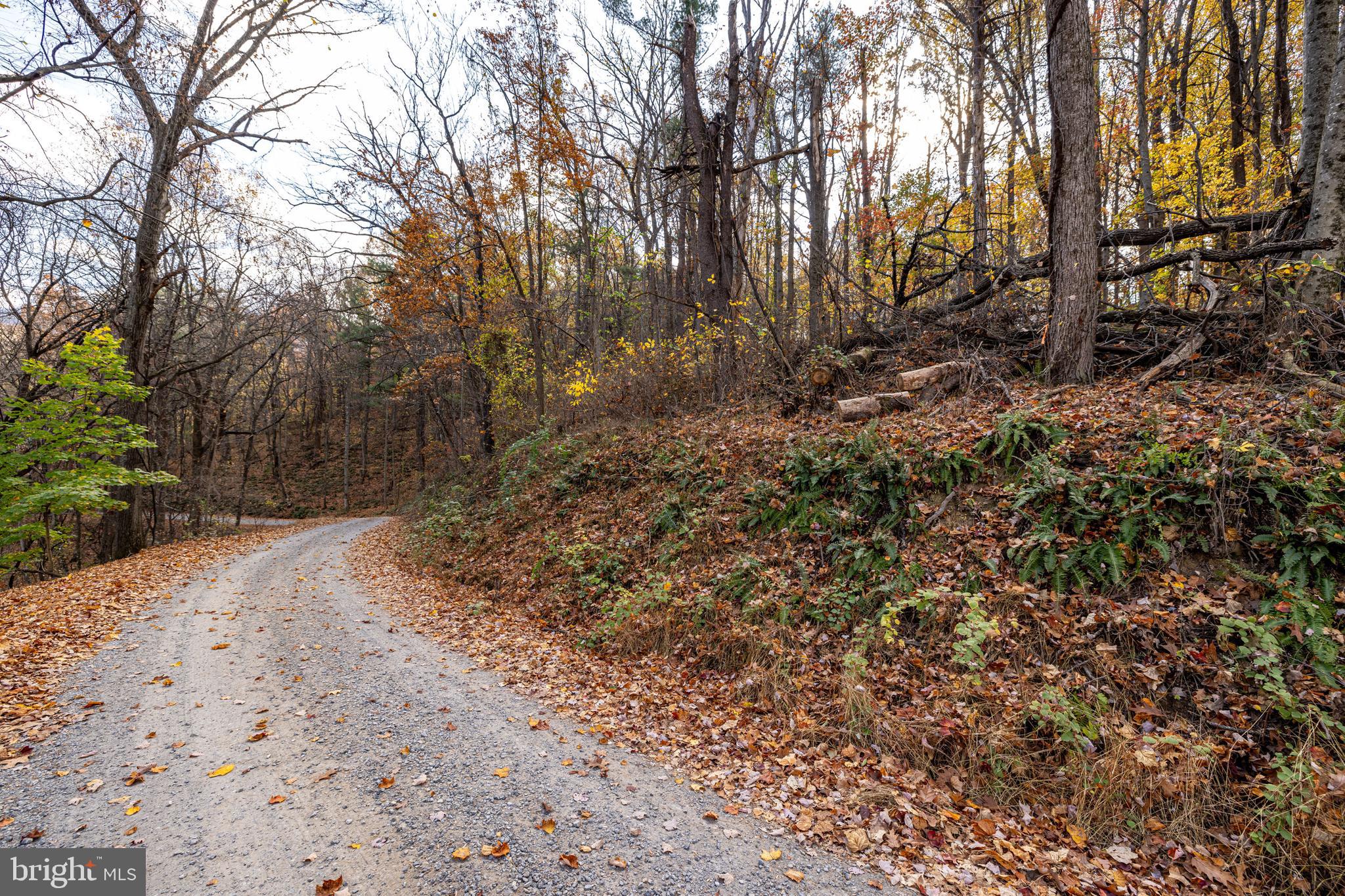 SHEN HIGHLANDS - Land