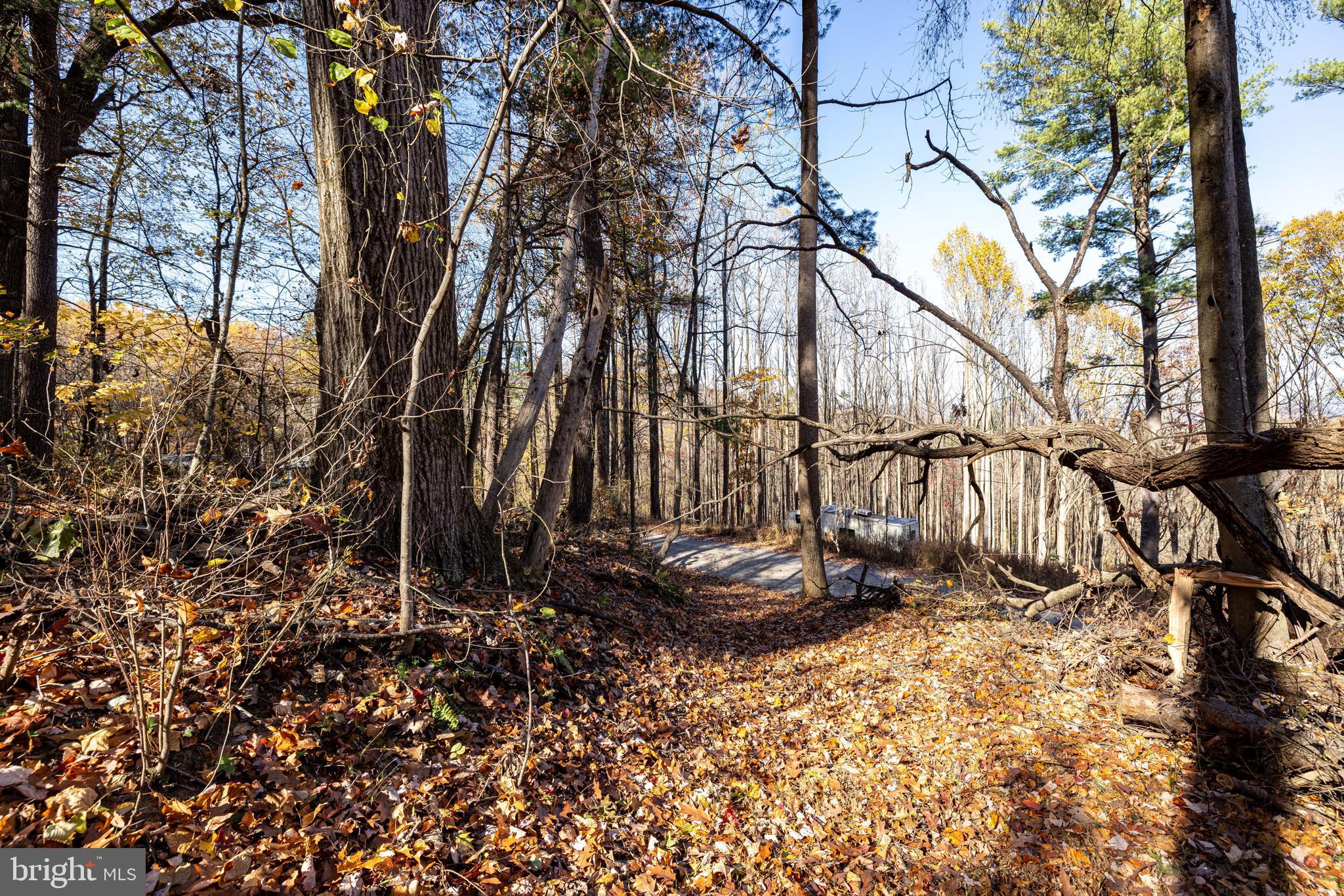 SHEN HIGHLANDS - Land