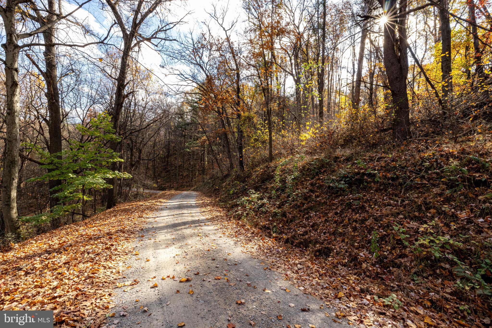 SHEN HIGHLANDS - Land