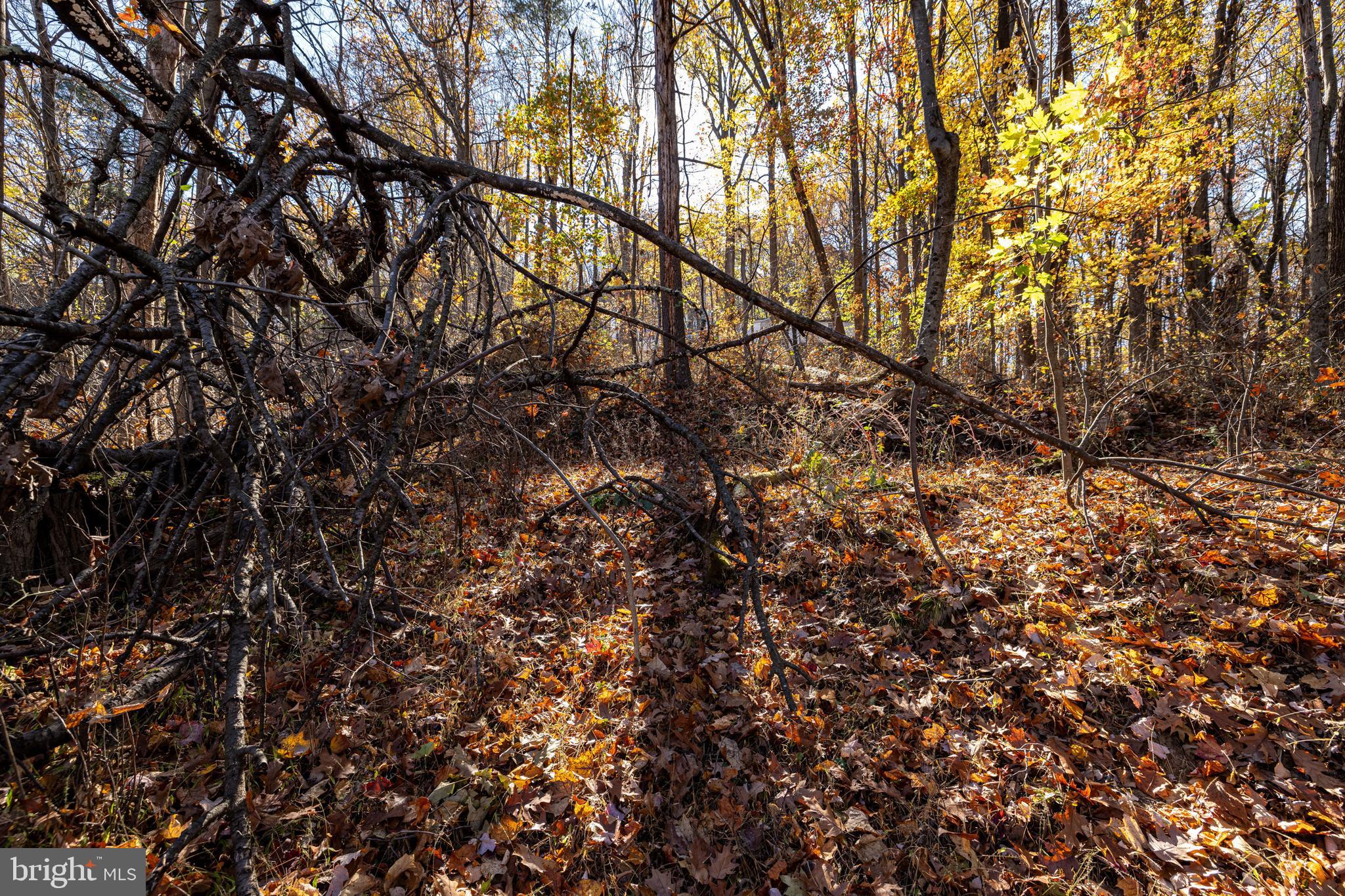 SHEN HIGHLANDS - Land