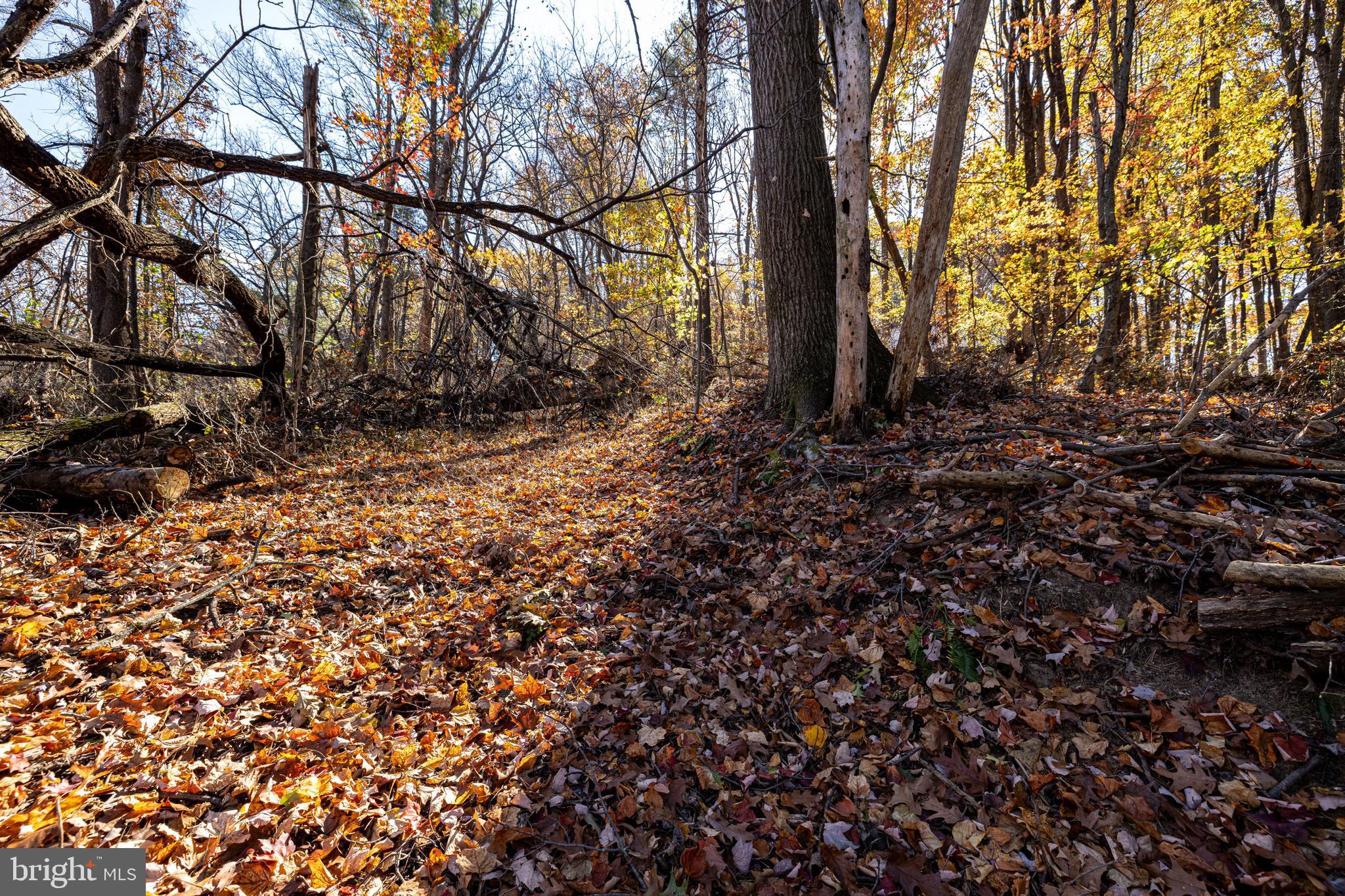 SHEN HIGHLANDS - Land