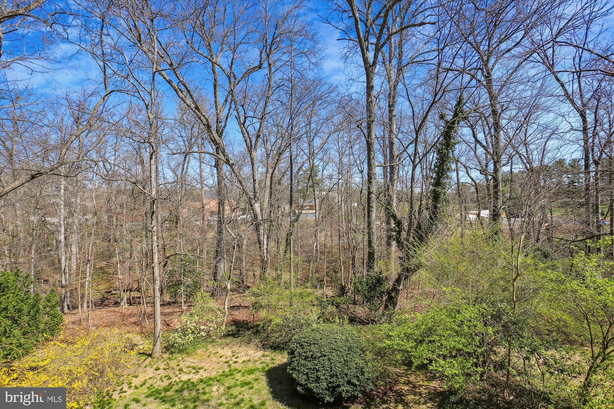 WOODHAVEN - Residential