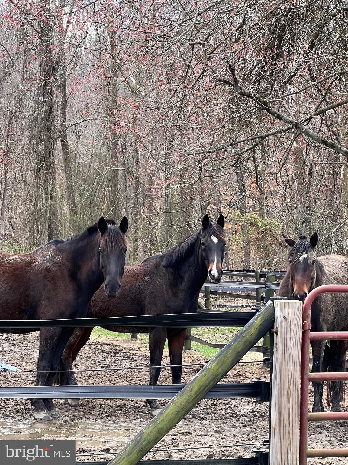 AQUIA HARBOUR - Residential