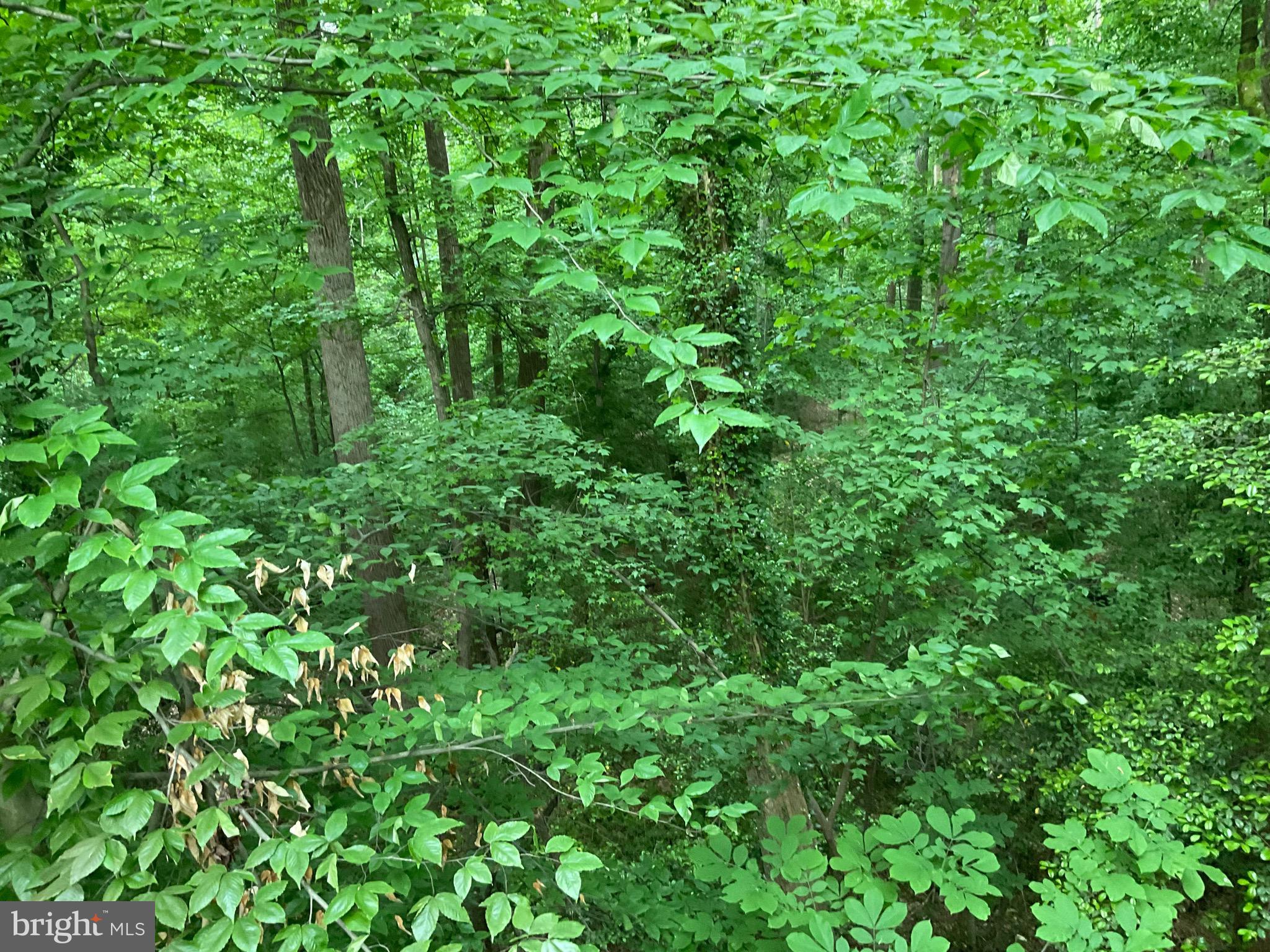 HERALD HARBOR - Residential Lease