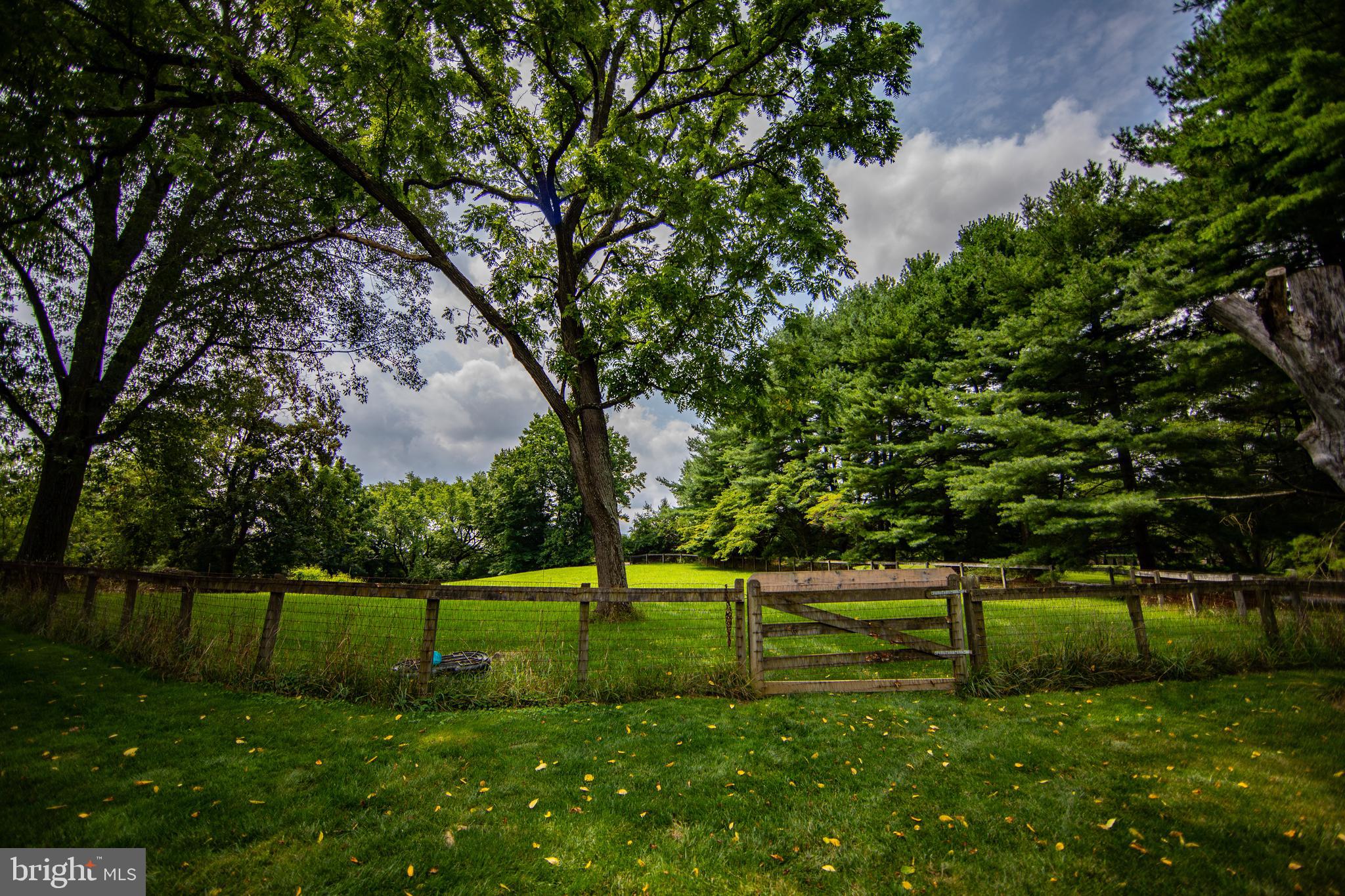 CHESTER HTS - Residential