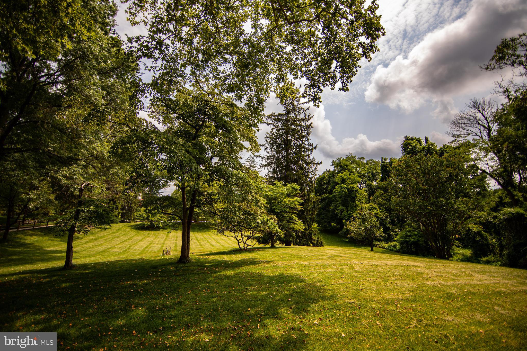 CHESTER HTS - Residential
