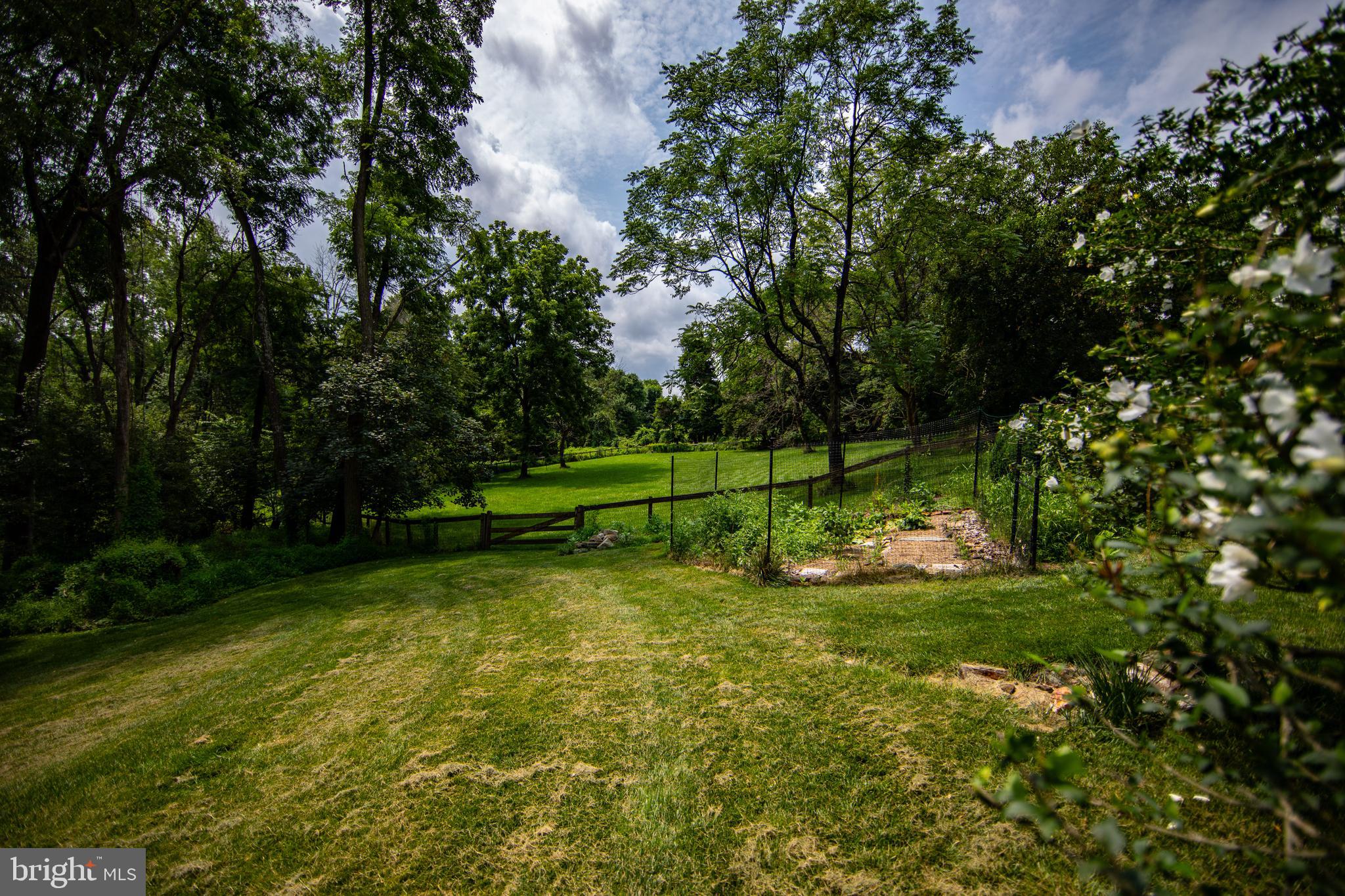 CHESTER HTS - Residential
