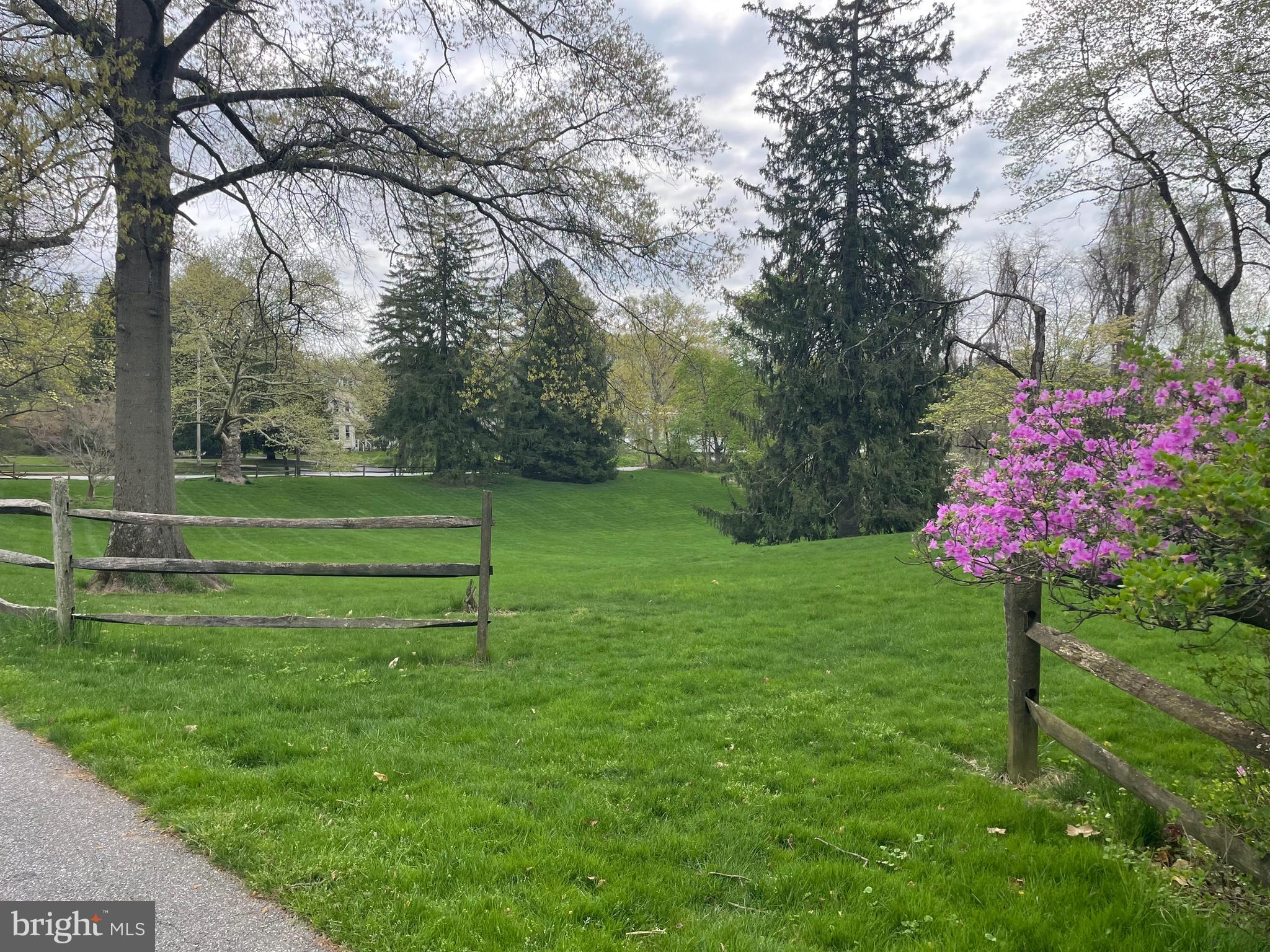 CHESTER HTS - Residential