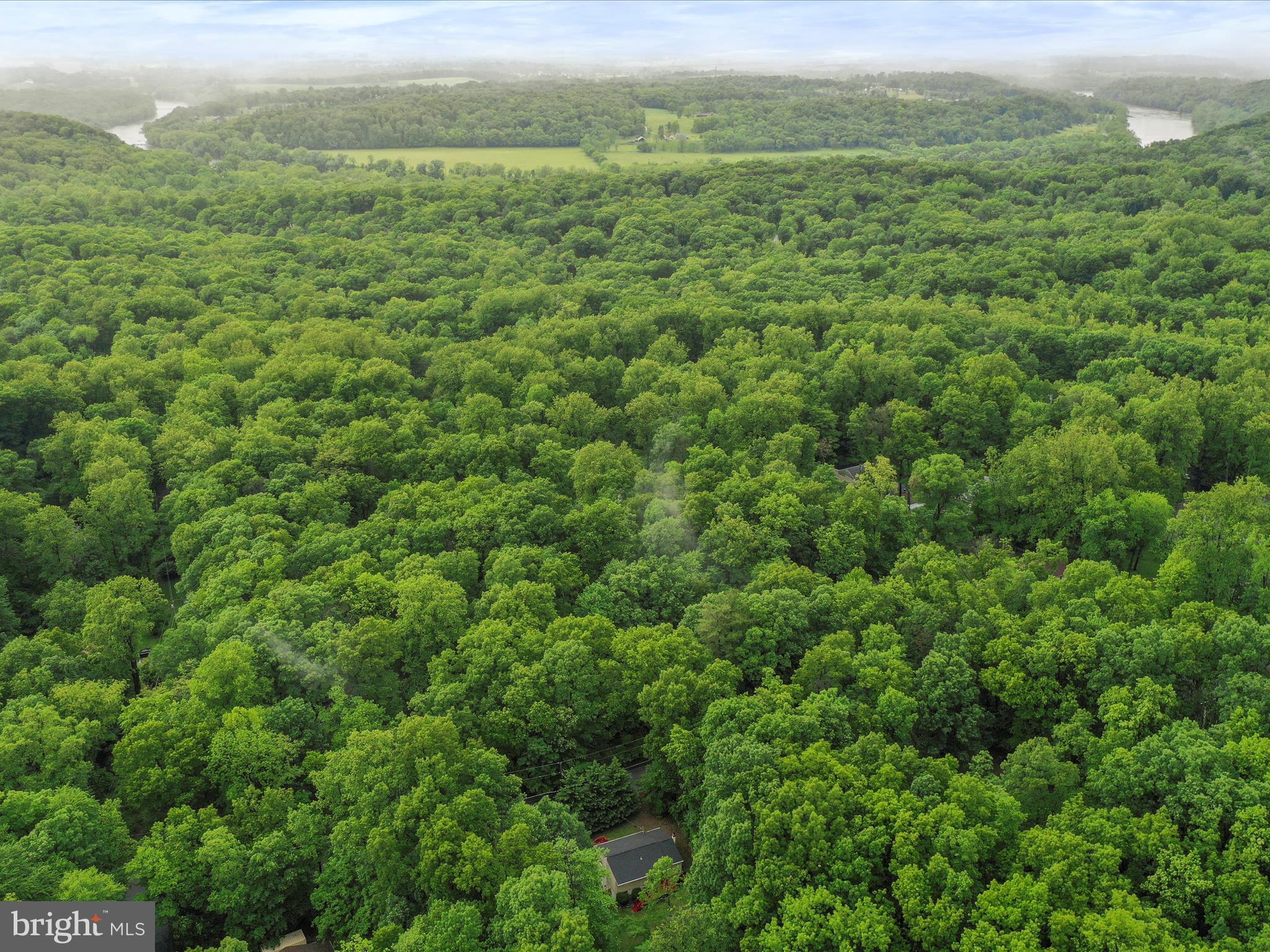 SHANNONDALE - Residential