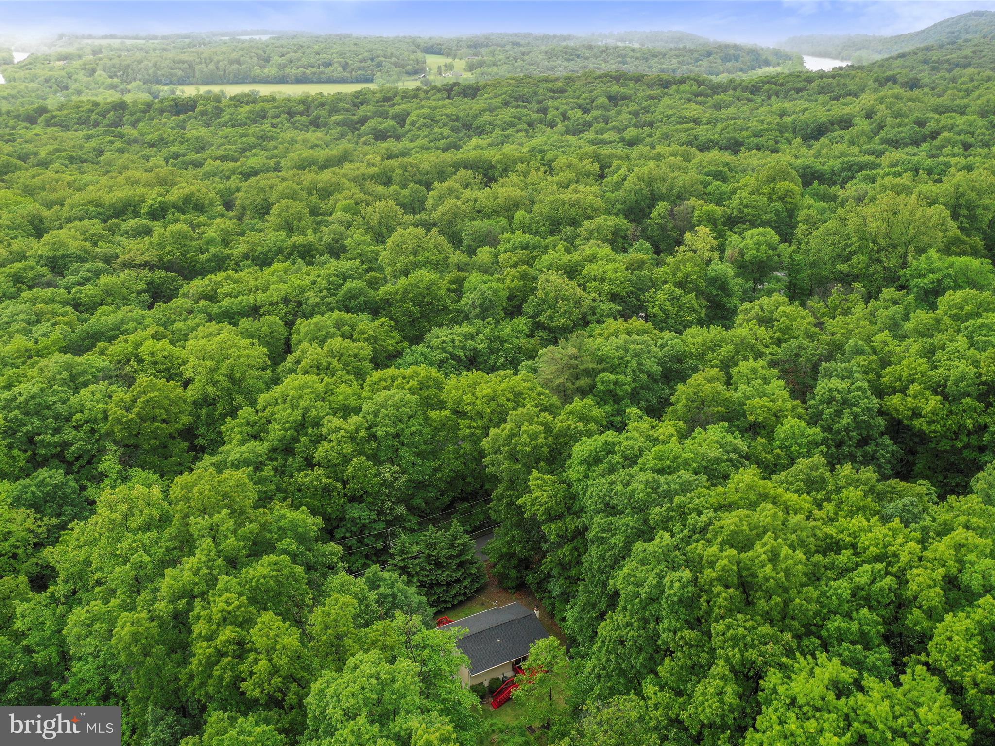 SHANNONDALE - Residential