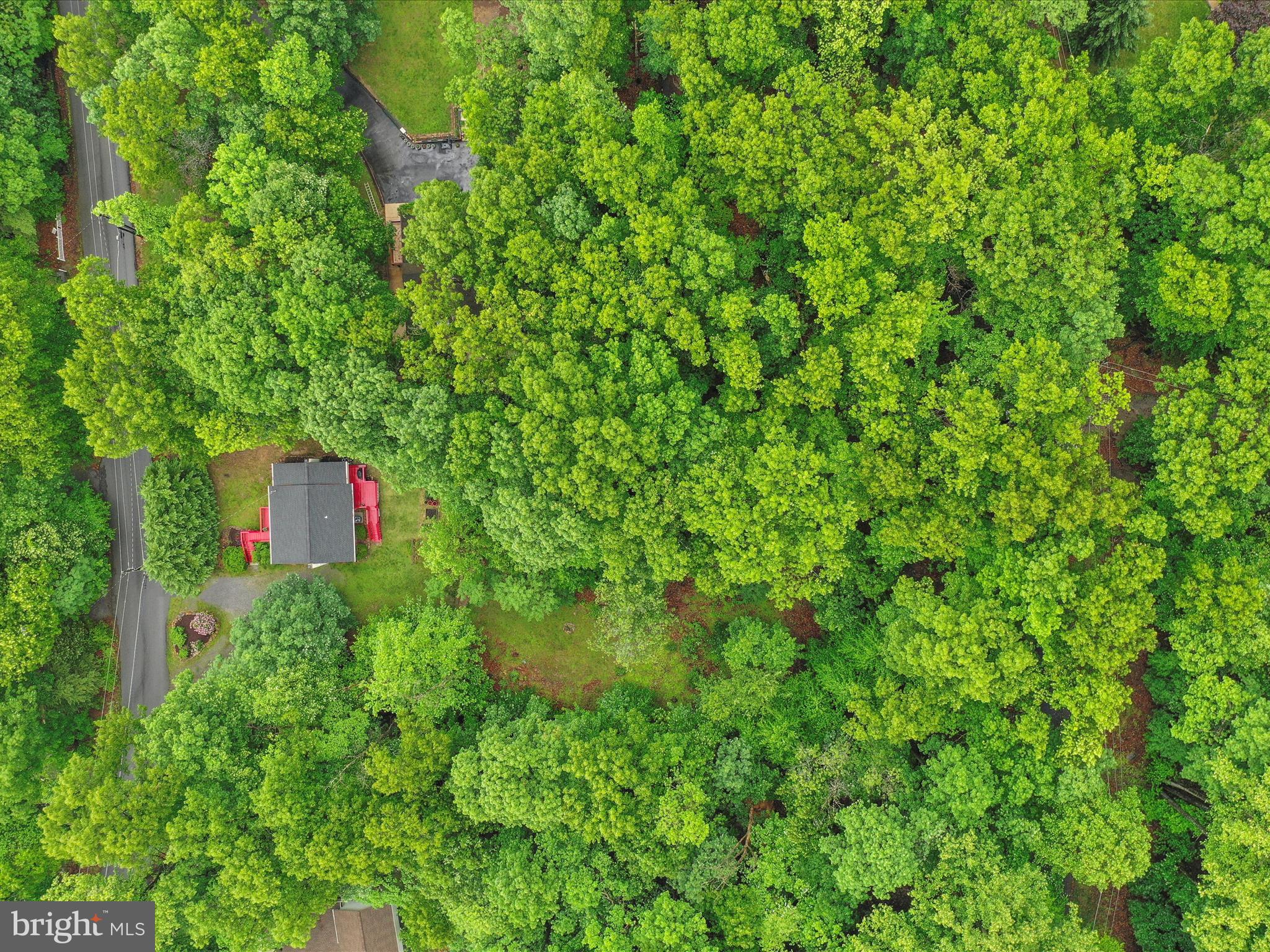 SHANNONDALE - Residential