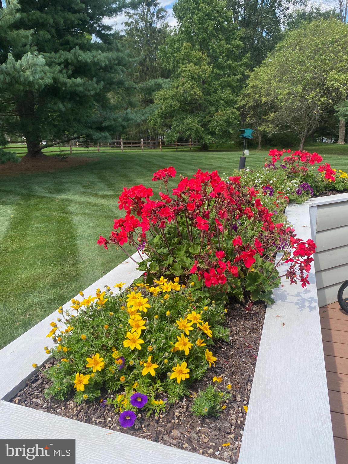 BLUE BELL - Residential