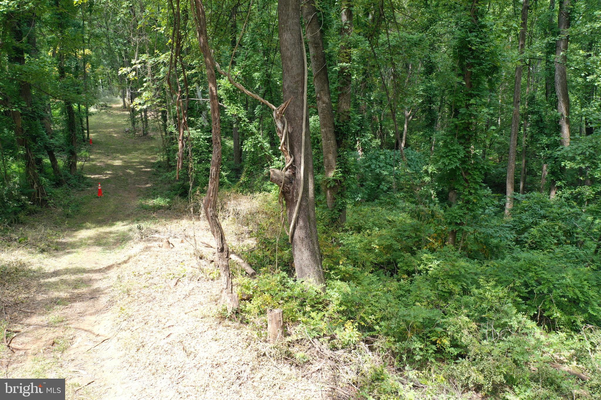 Lot 3 BEAHM TOWN