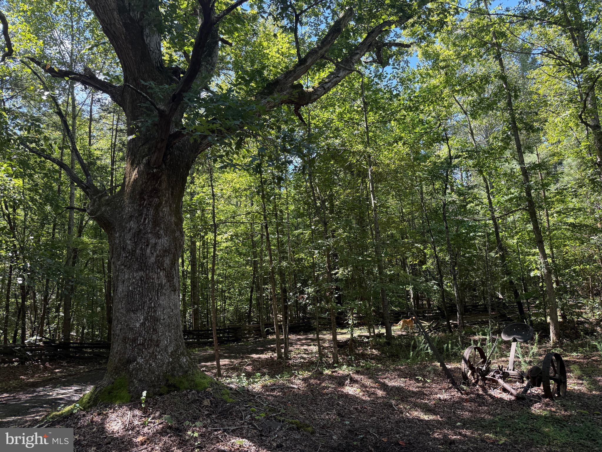 NONE AVAILABLE - Farm