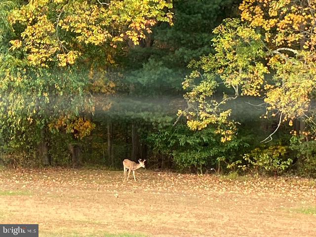 BLUEBIRD HILLS - Residential