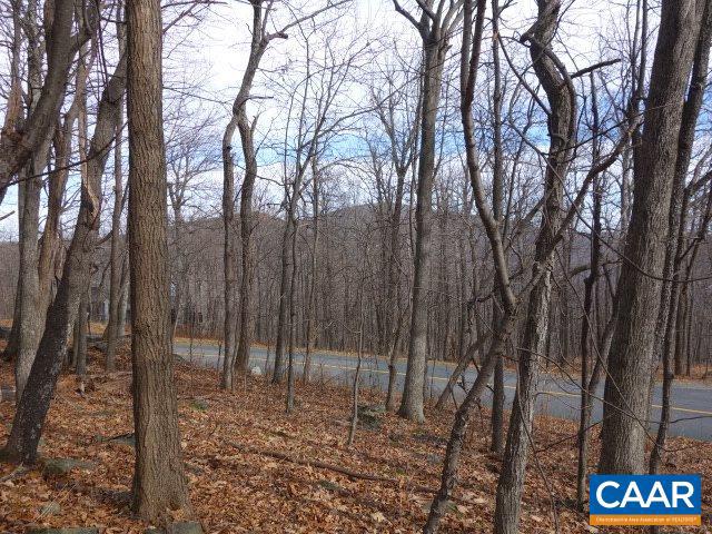 91 SHAMOKIN SPRINGS TRL