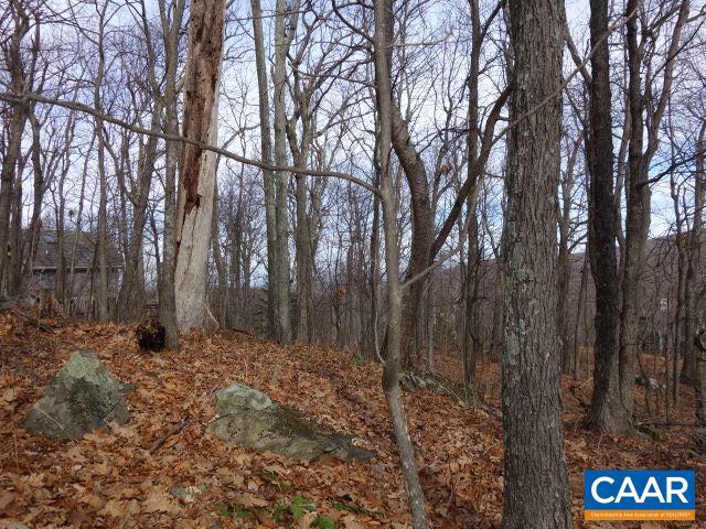 91 SHAMOKIN SPRINGS TRL