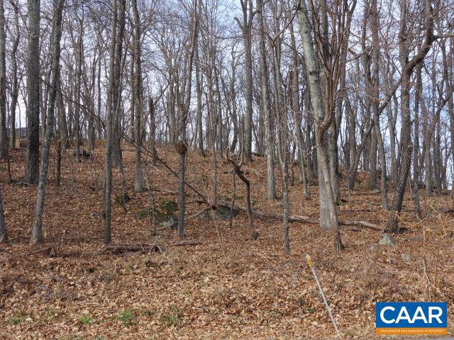 91 SHAMOKIN SPRINGS TRL