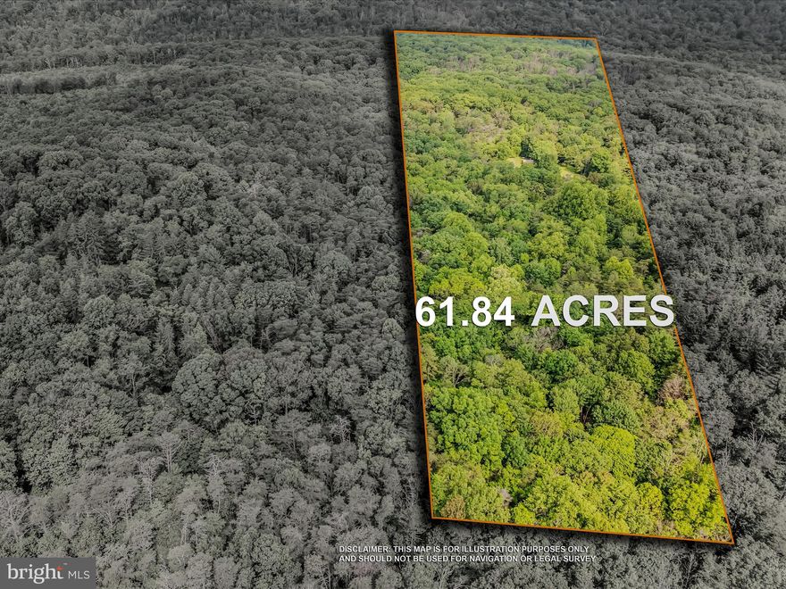 $50K PRICE DROP!!! DON'T MISS OUT ON THIS OUTDOORSMEN PARADISE!!! Check out this amazing 61.84 acre parcel that directly backs up to Sleepy Creek Wildlife Management area. This parcel truly has it all from wooded, to open, pond, scenic vistas, mountain views, and even a rustic hunting cabin that has solar power but no running water. If 61.84 acres isn't enough the parcel is also available next door which is 63.65 acres and is the Tract 1 parcel.