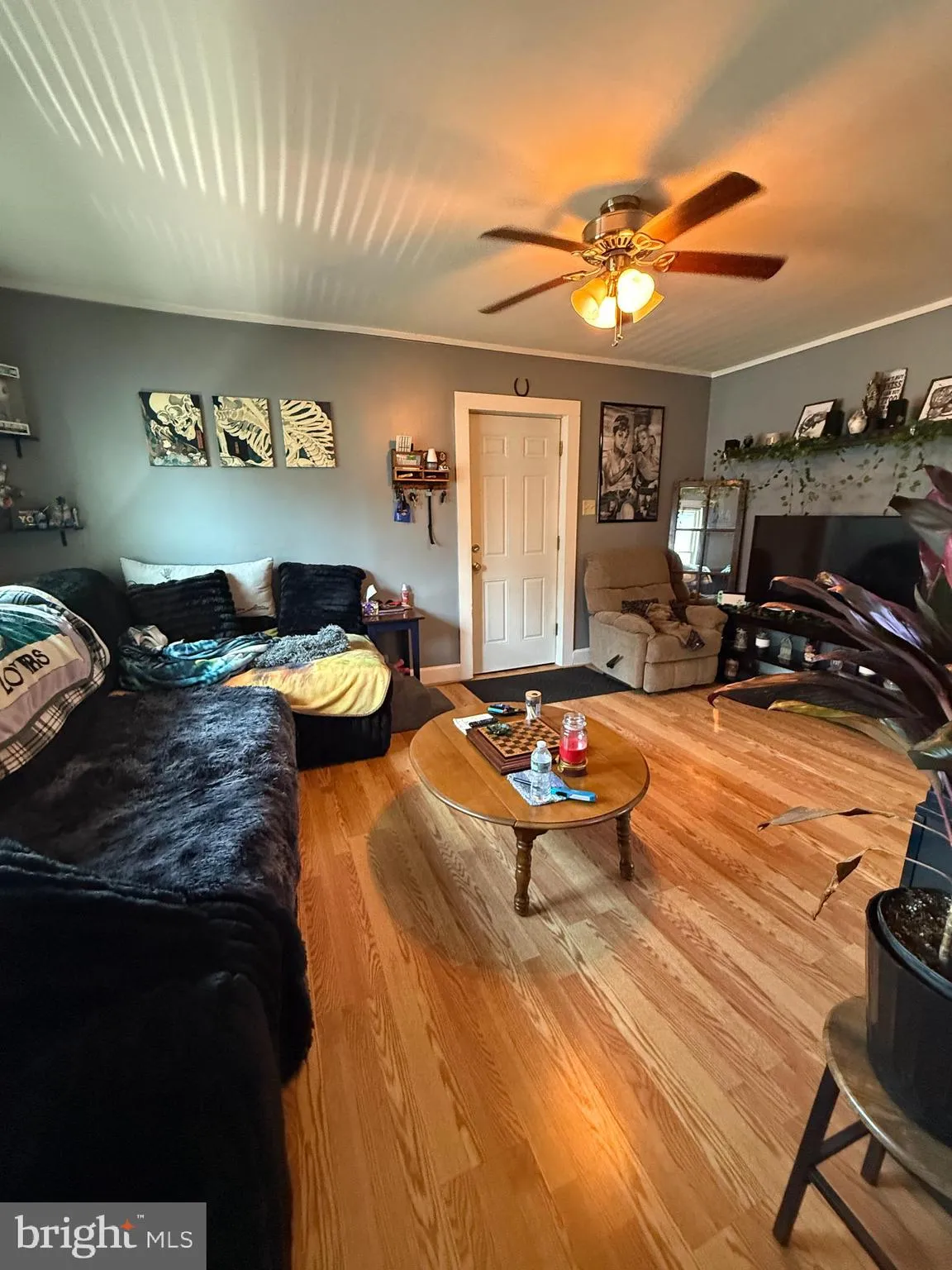 Additional image 117 of 217 White Ave, Linwood, PA 19061