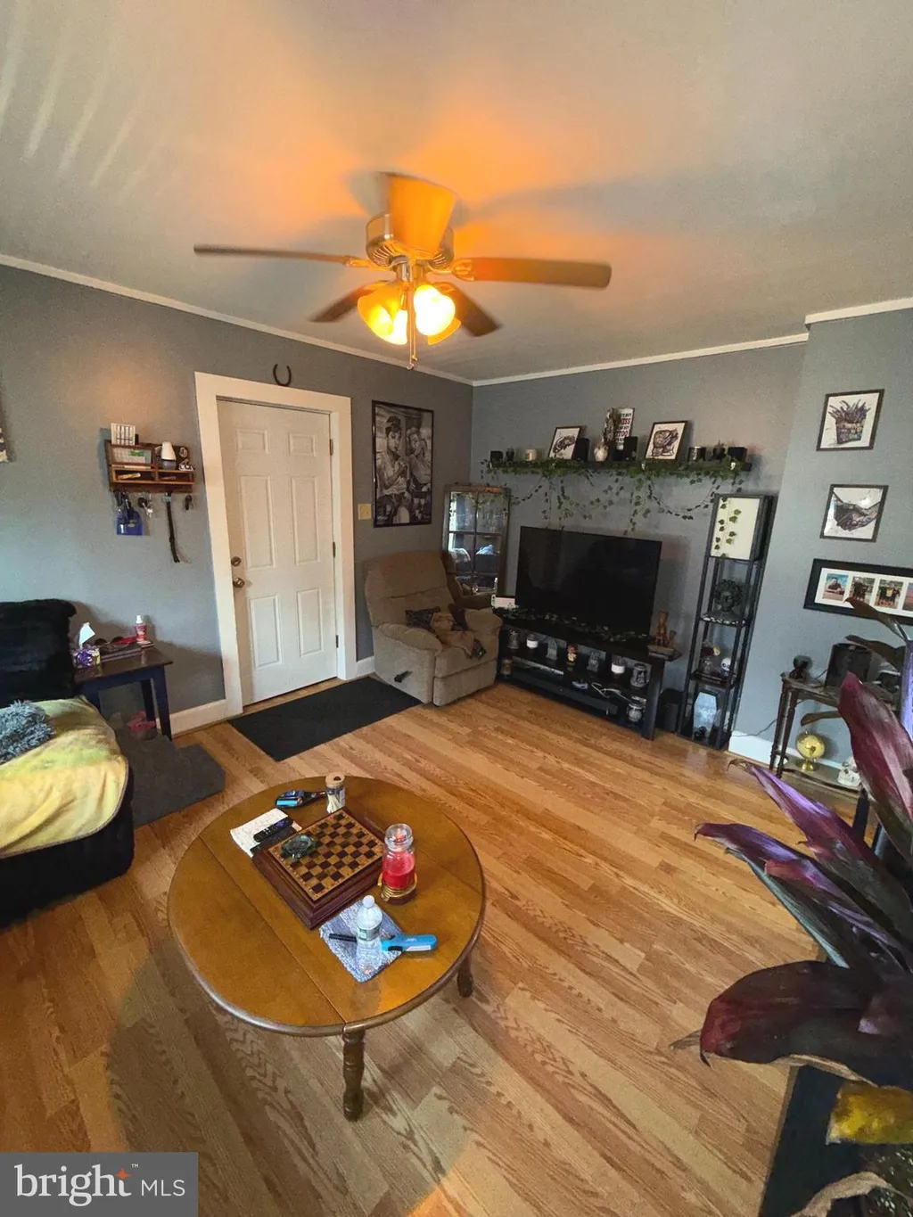 Additional image 12 of 217 White Ave, Linwood, PA 19061