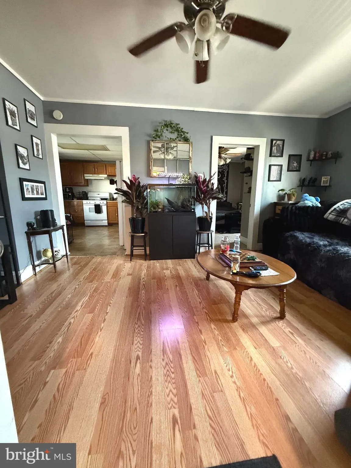 Additional image 112 of 217 White Ave, Linwood, PA 19061