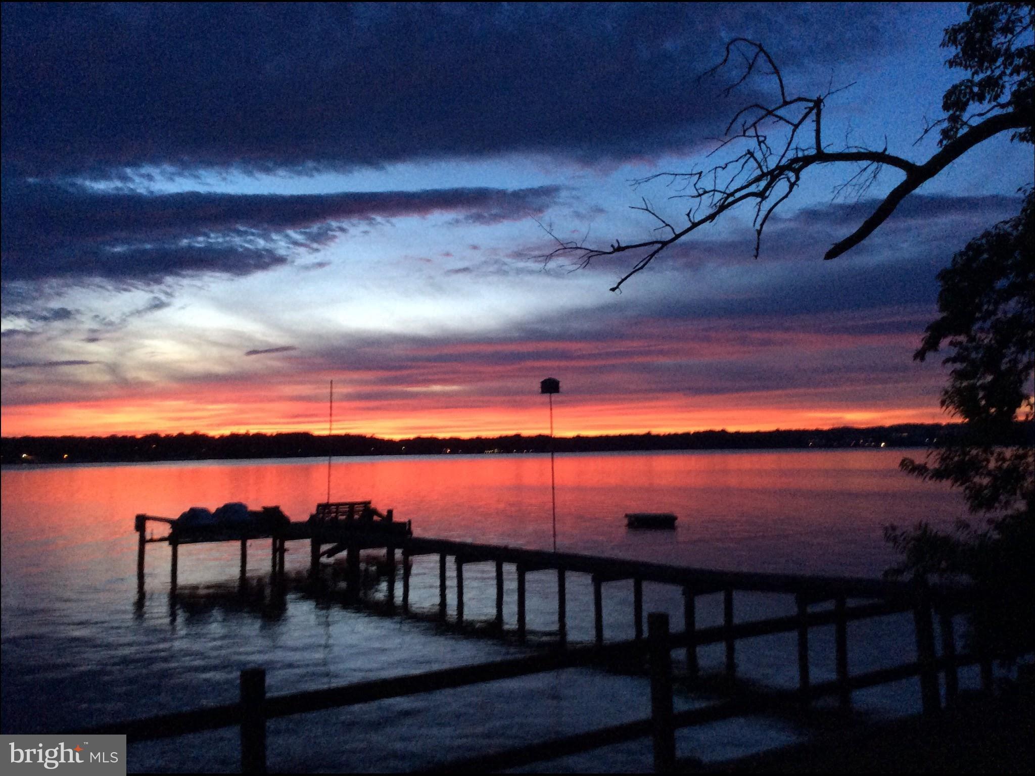 FOREST GREENS - Residential