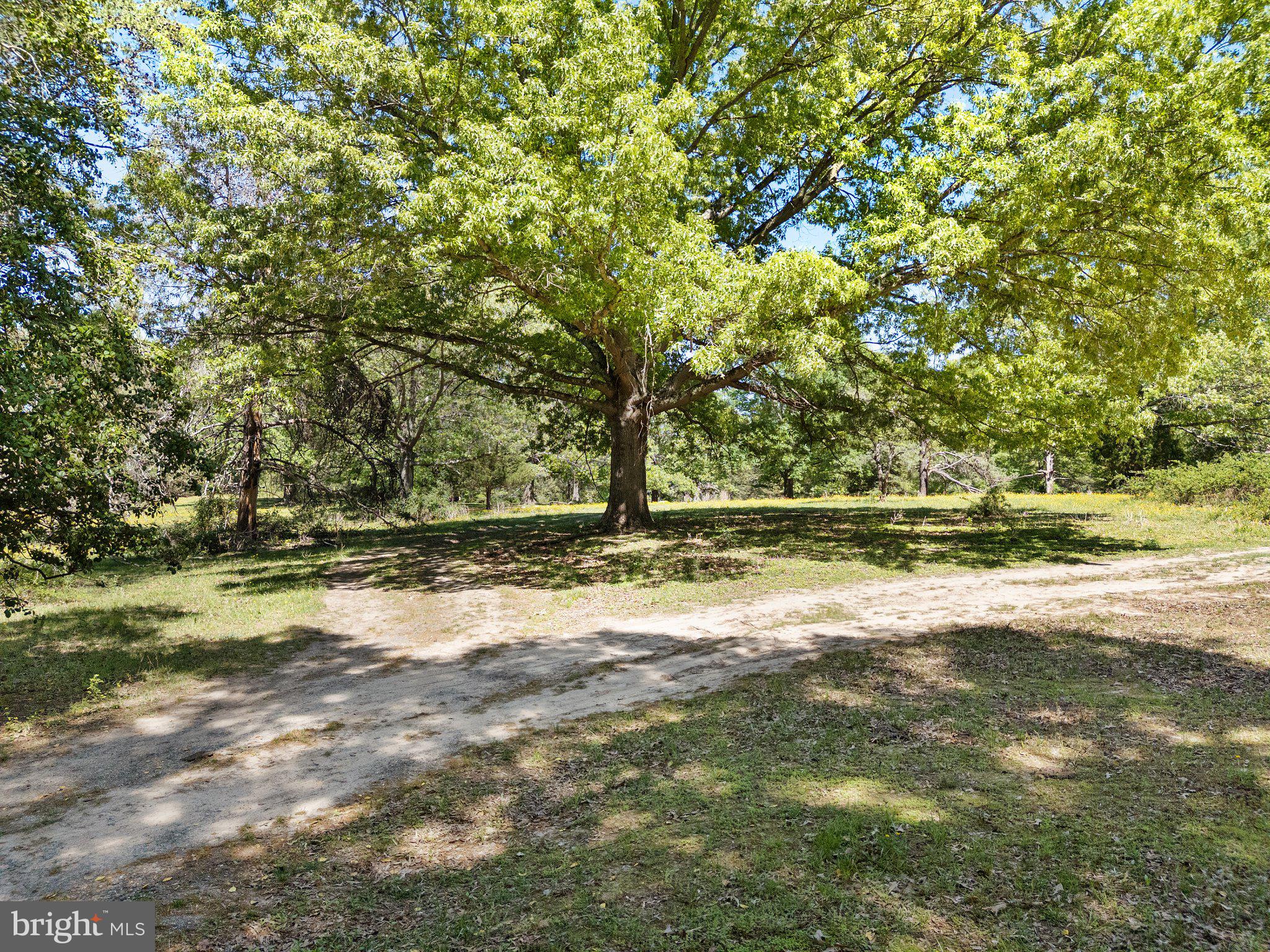 NONE AVAILABLE - Land