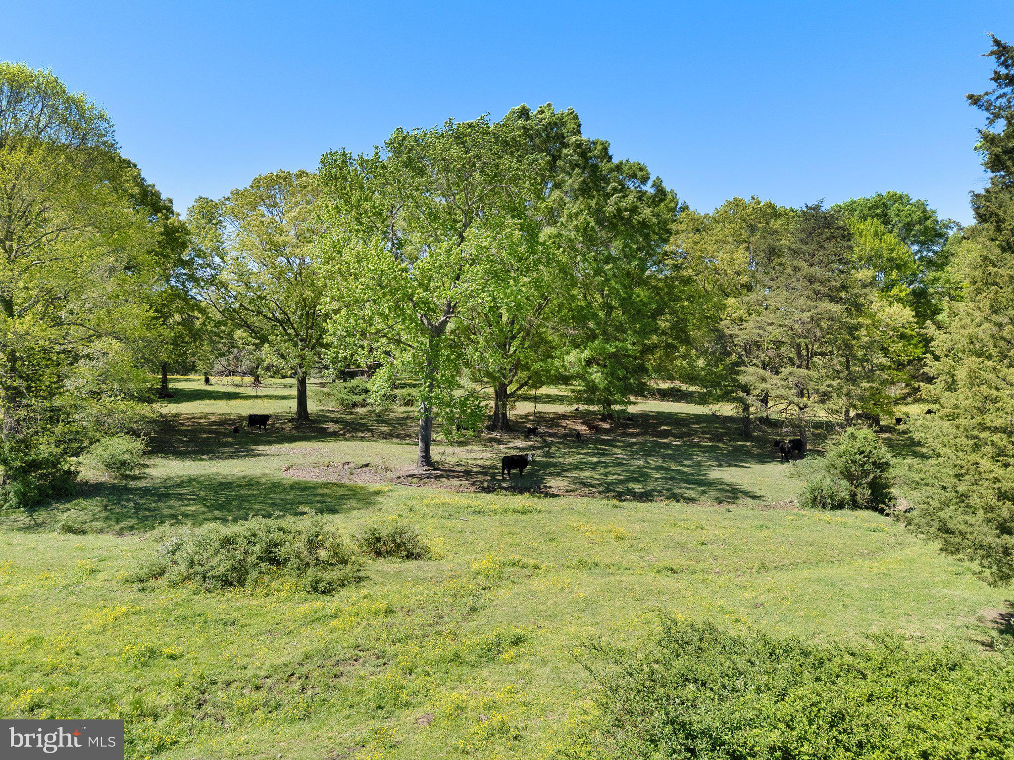 NONE AVAILABLE - Land