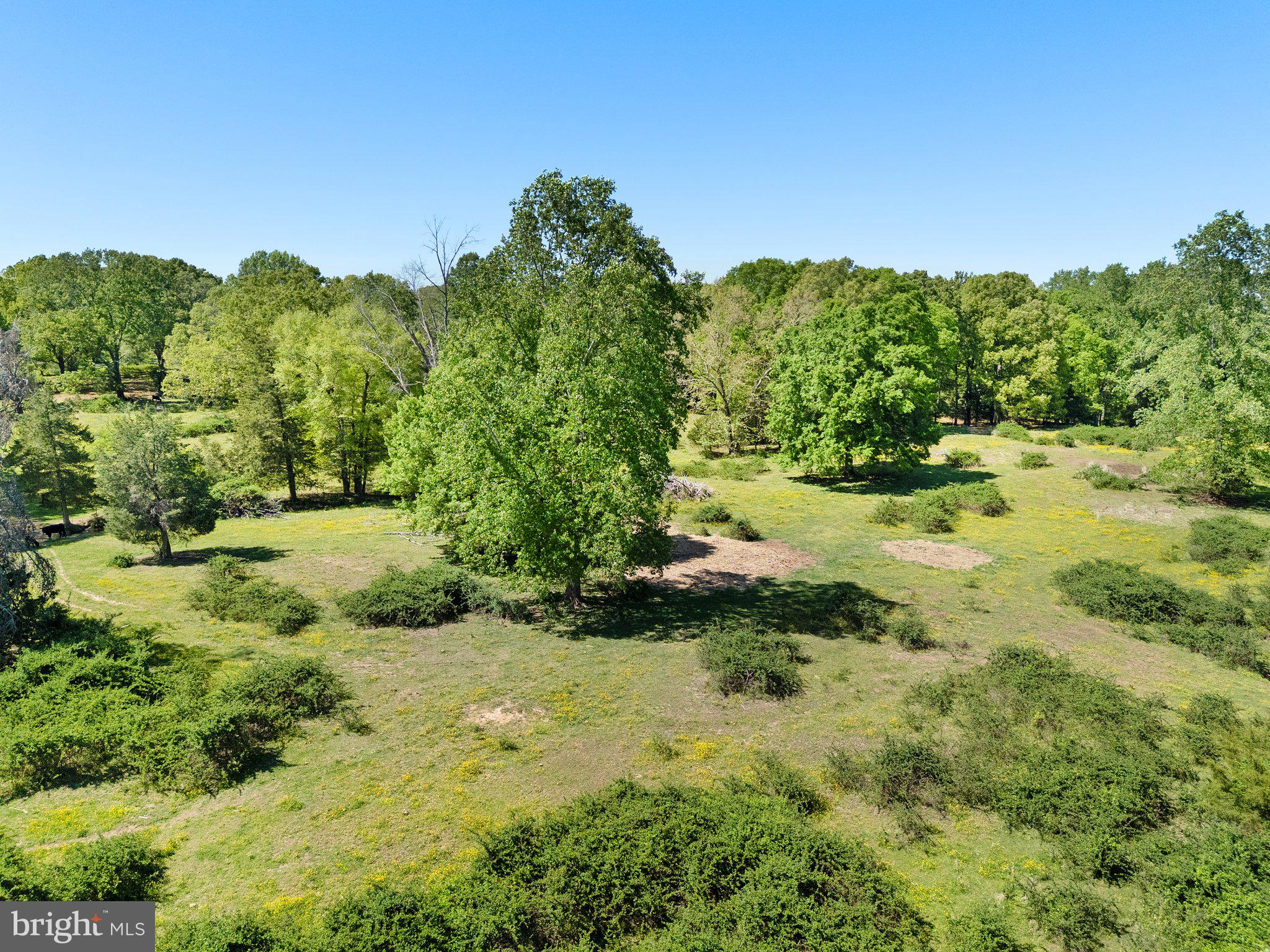 NONE AVAILABLE - Land