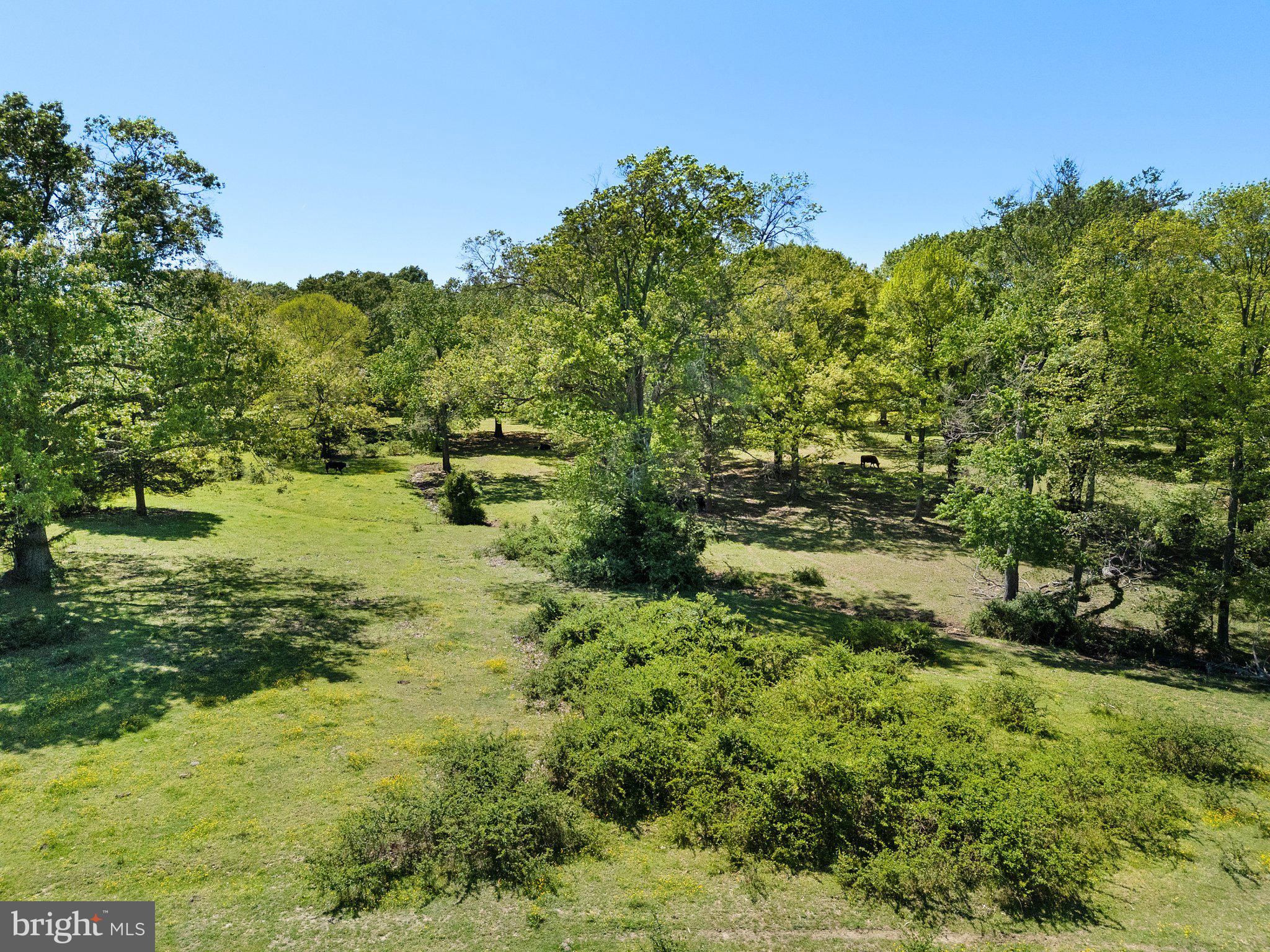 NONE AVAILABLE - Land