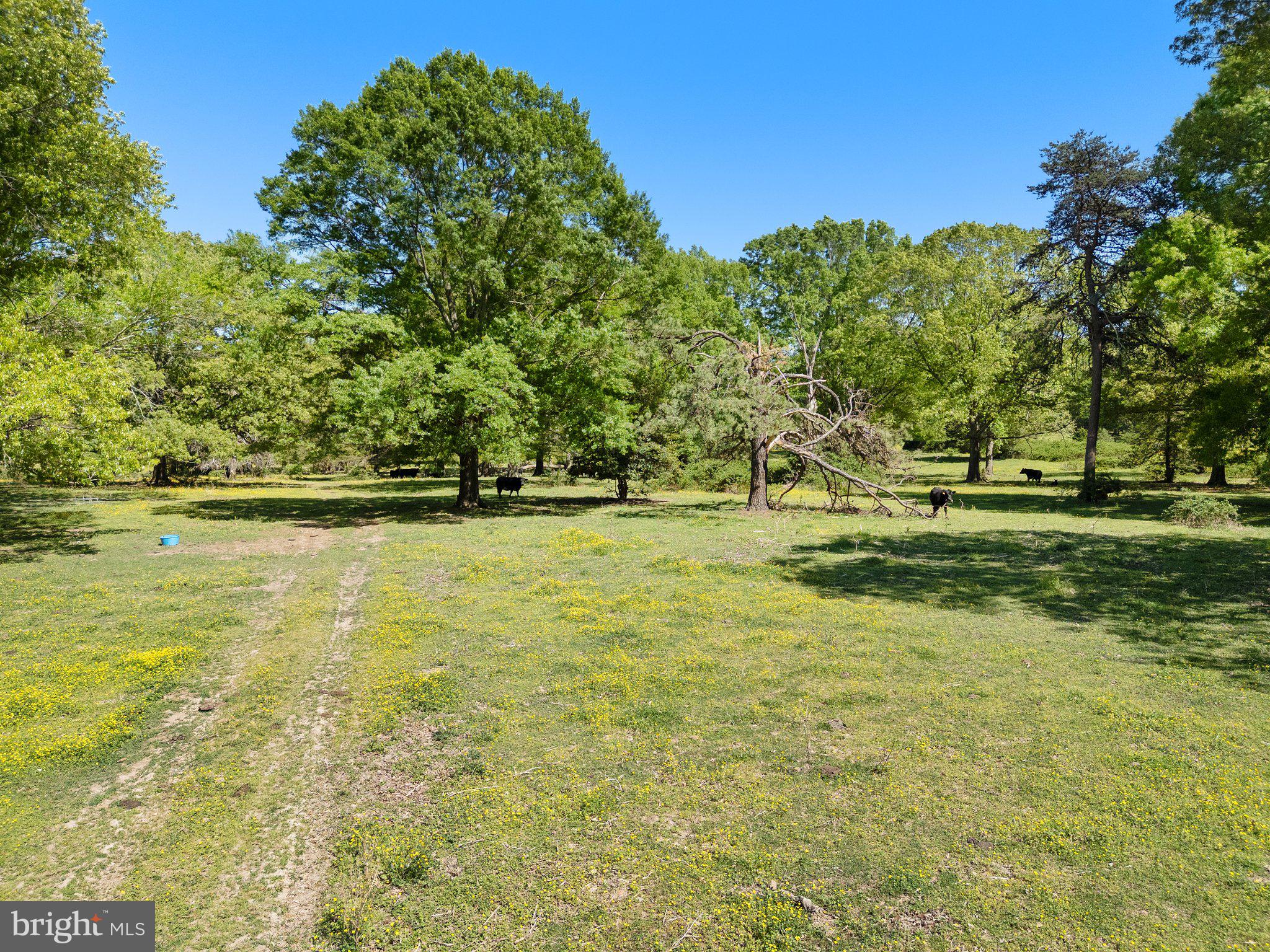 NONE AVAILABLE - Land