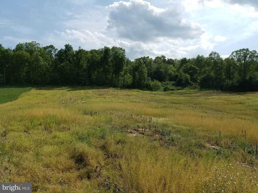 Amazing views.  This lot, lot 1, is about 50% field and 50% wooded.  White Pine Lane passes through the wooded section of this lot.    3 BR septic cert letter on file.  See plat and CCRs for Baldwin Hill Subd. in documents. With an accepted offer, Owner will have a soil scientist re-evaluate this lot to show it will support a conventional septic system.  Closing can be contingent upon this.
