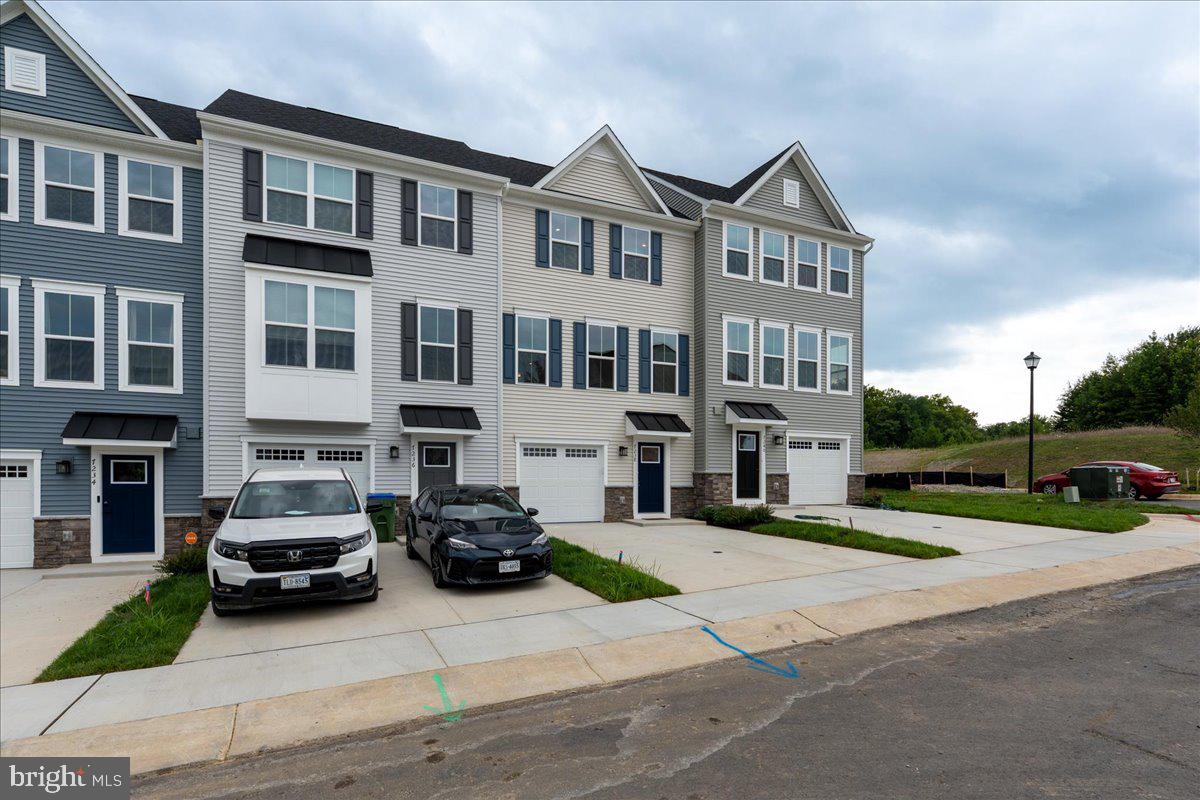 7238 MUSCA SHIRE LANE