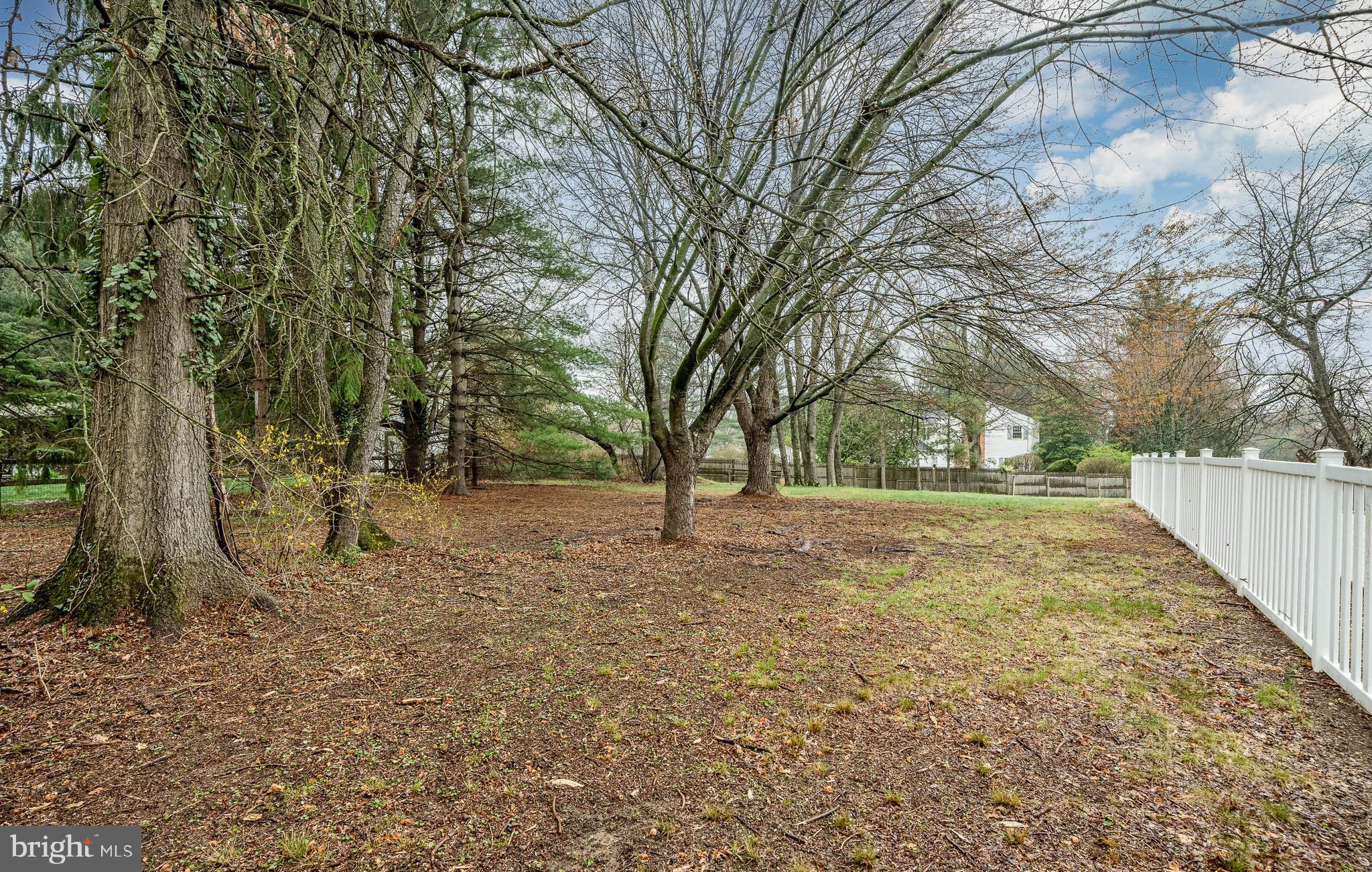 WOODS OF PEBBLE HI - Residential