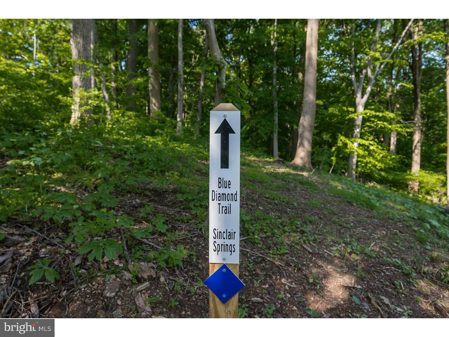 SINCLAIR SPRINGS - Residential