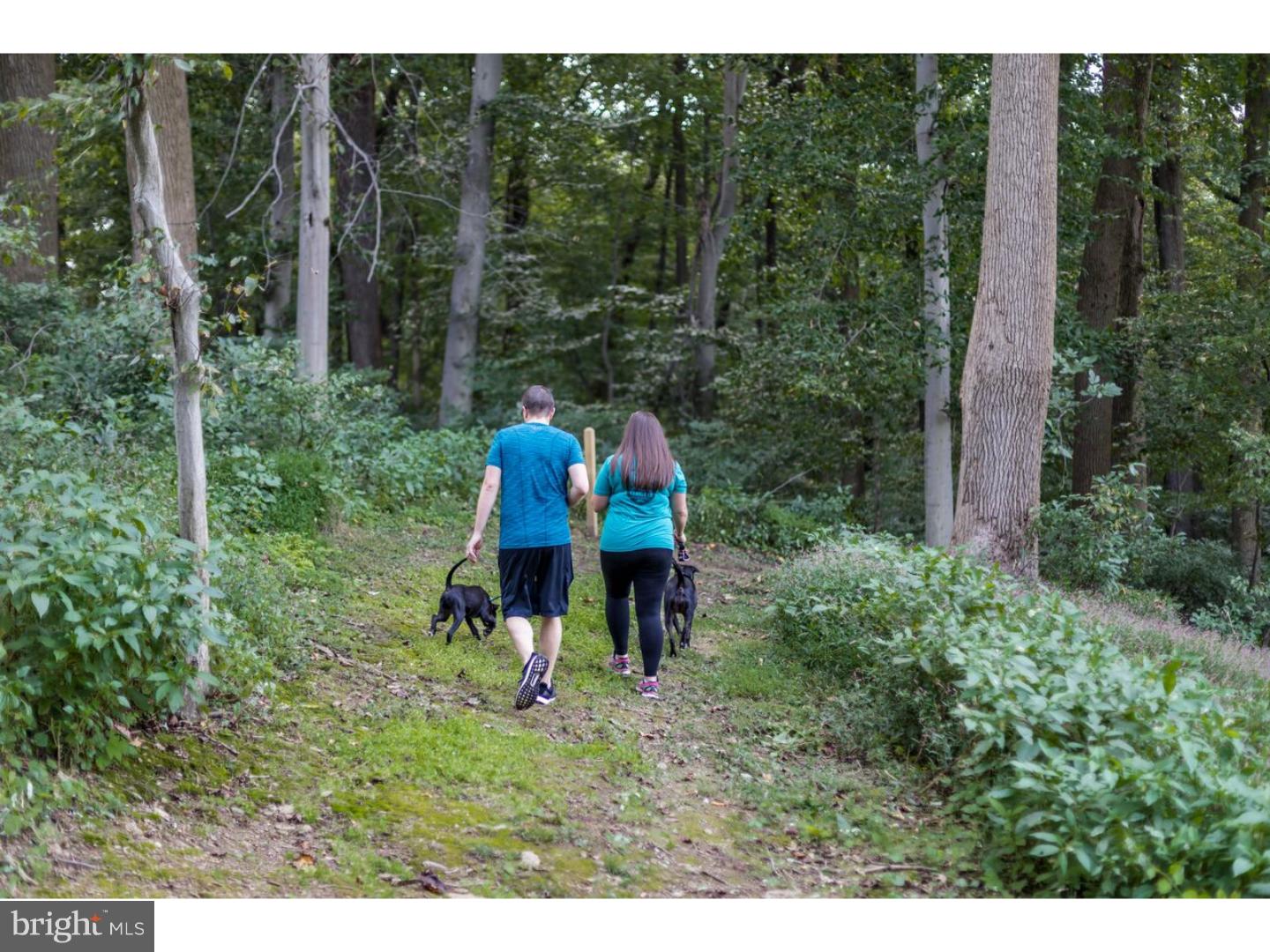 SINCLAIR SPRINGS - Residential