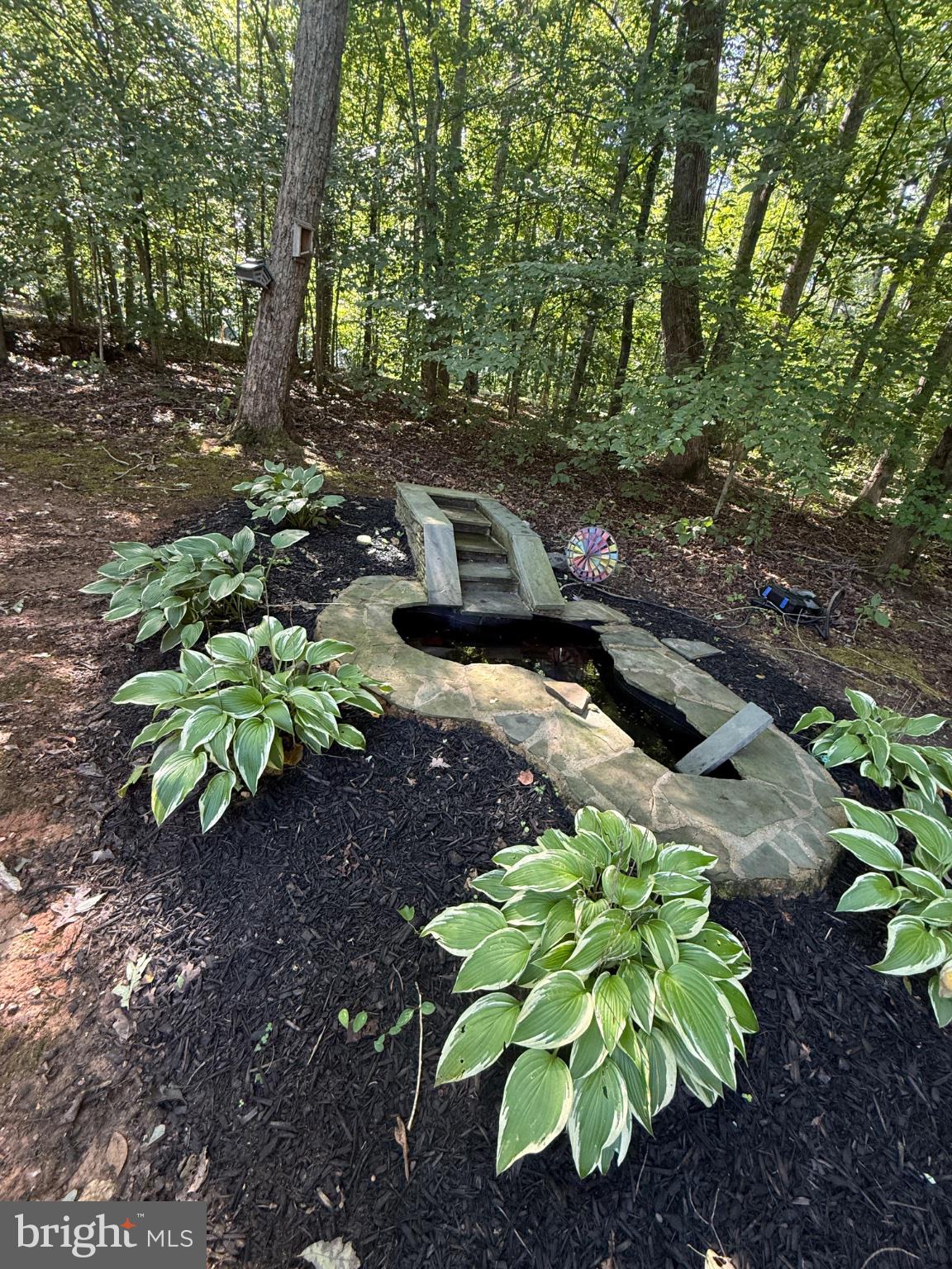27287 ELEYS FORD ROAD