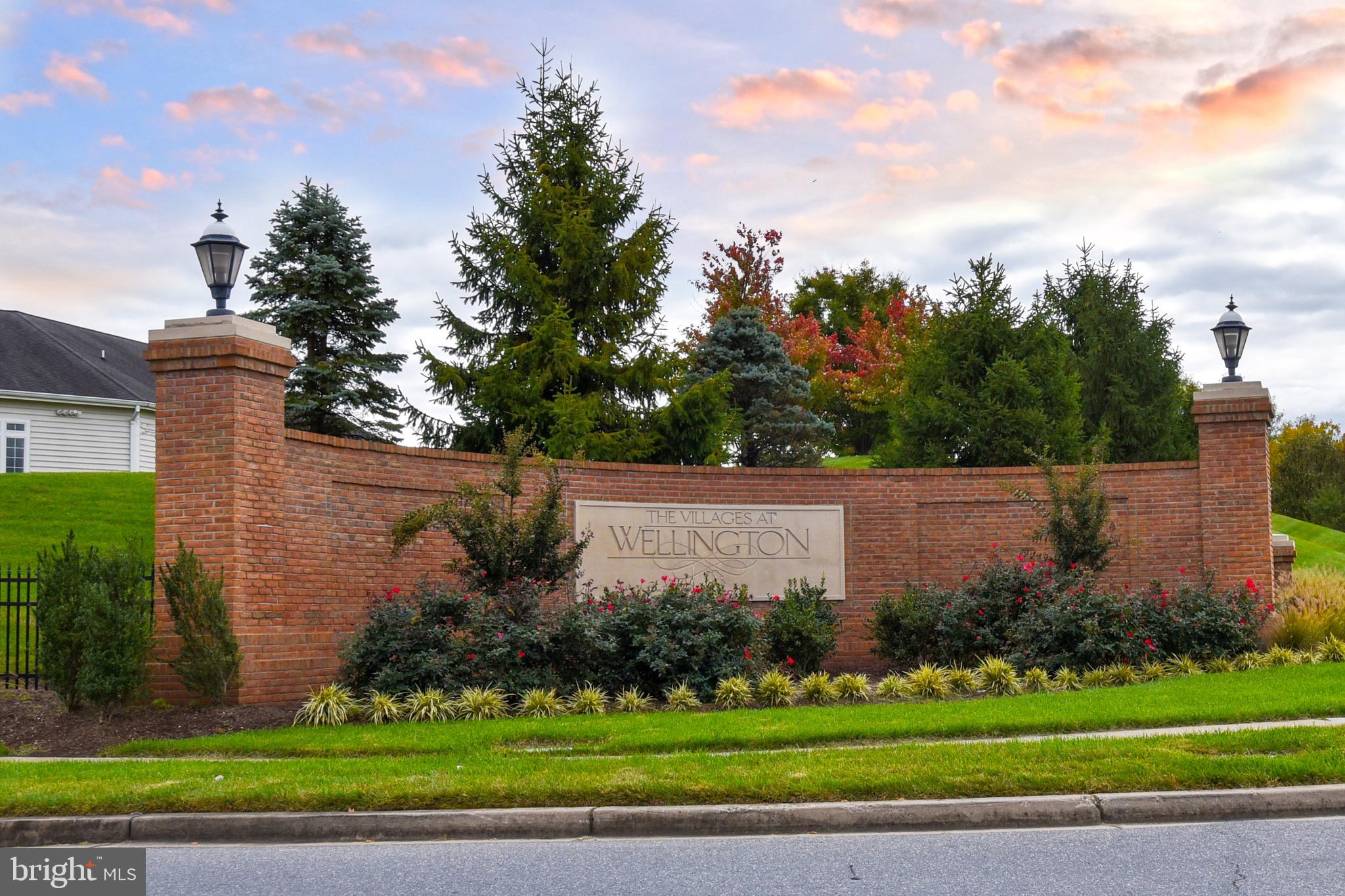 THE VILLAGES AT WELLINGTON - Residential