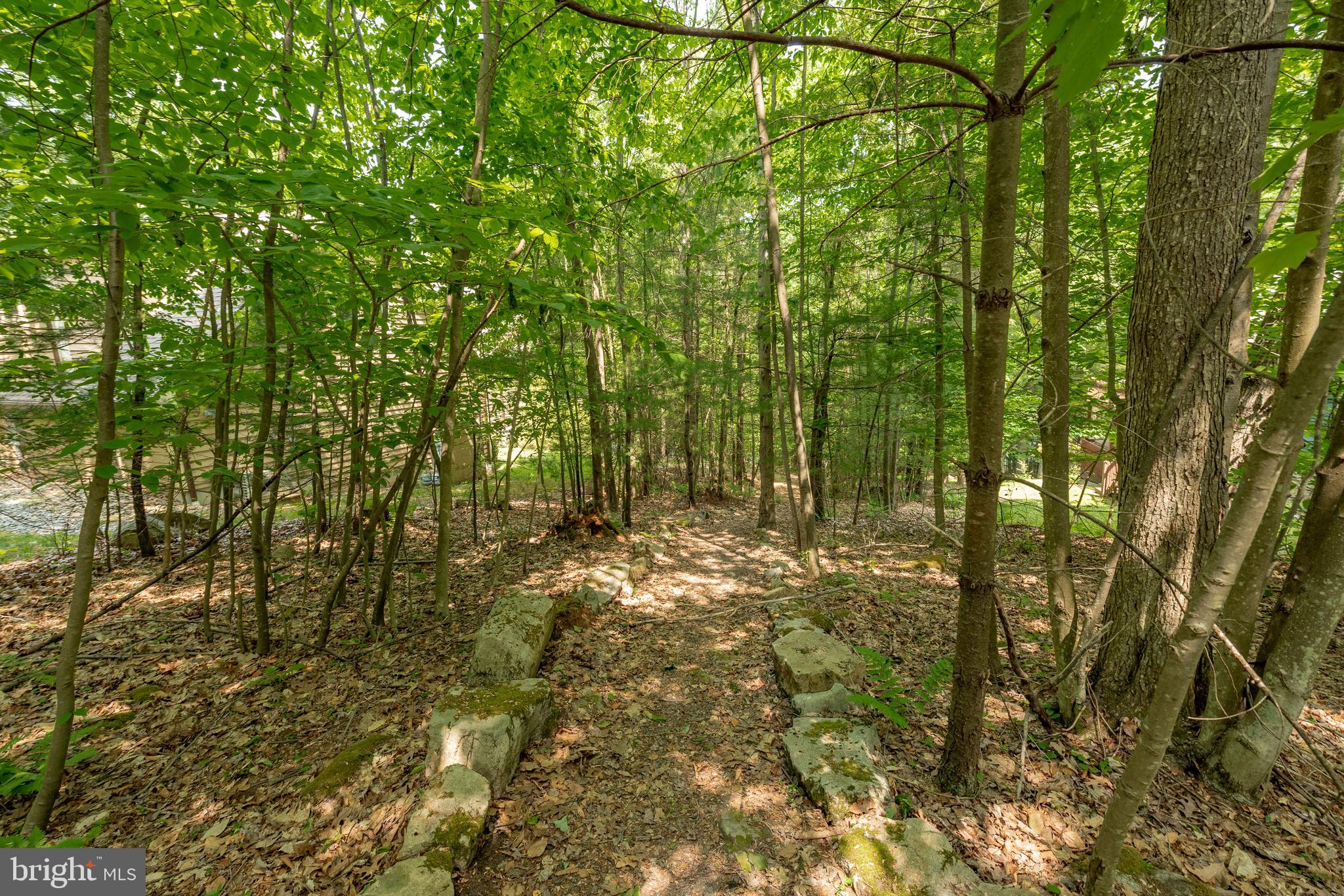 CARMEL COVE - Residential