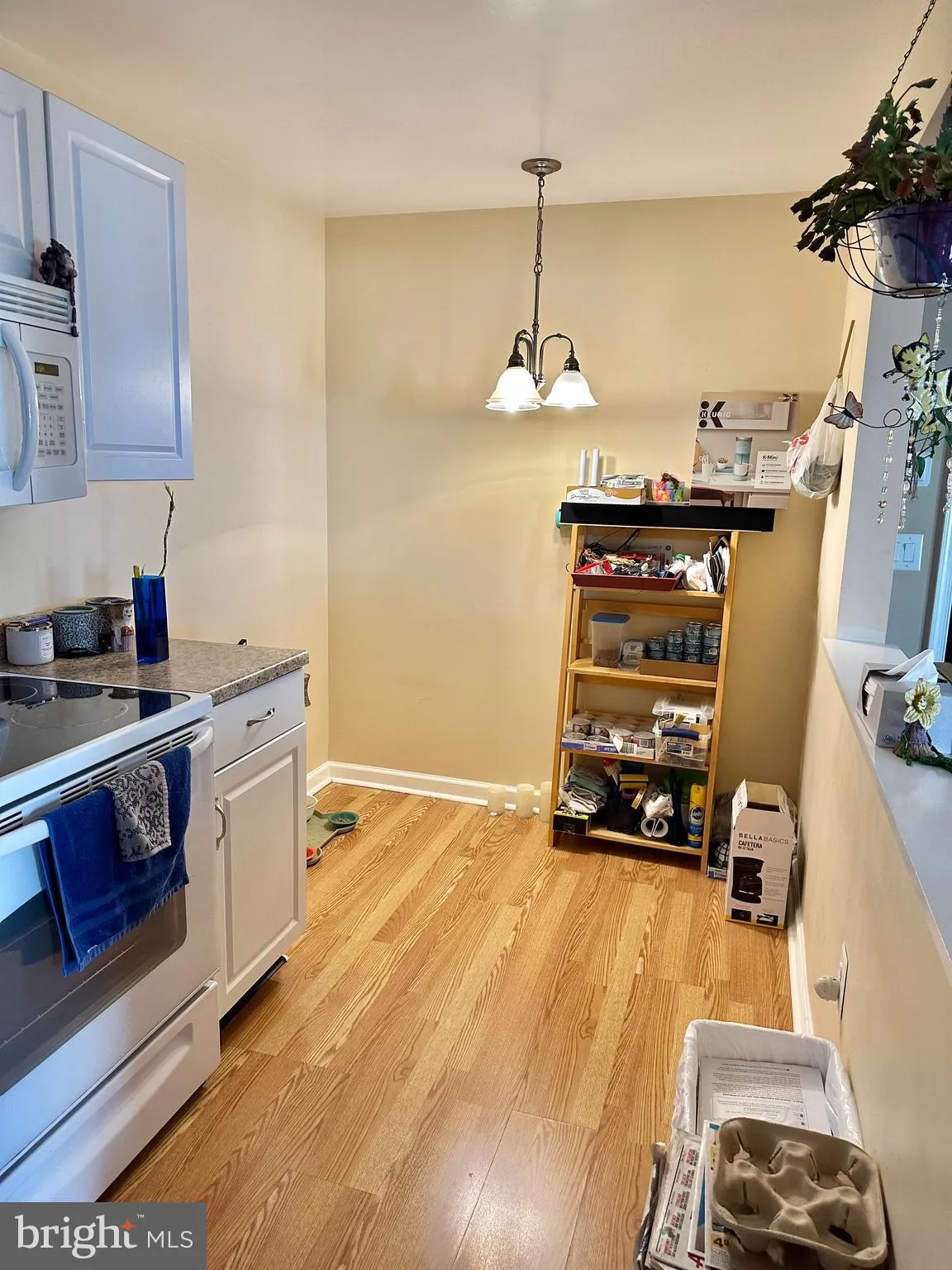 Additional image 44 of 230 Holmes Road, Holmes, PA 19043