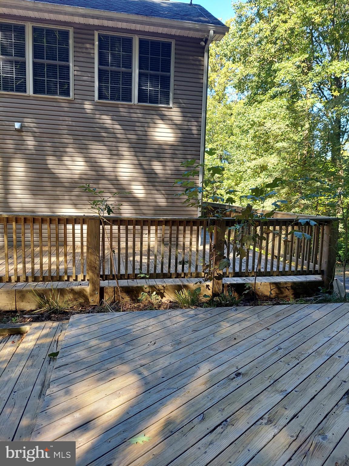 SHEN FARMS MT LAKE - Residential Lease