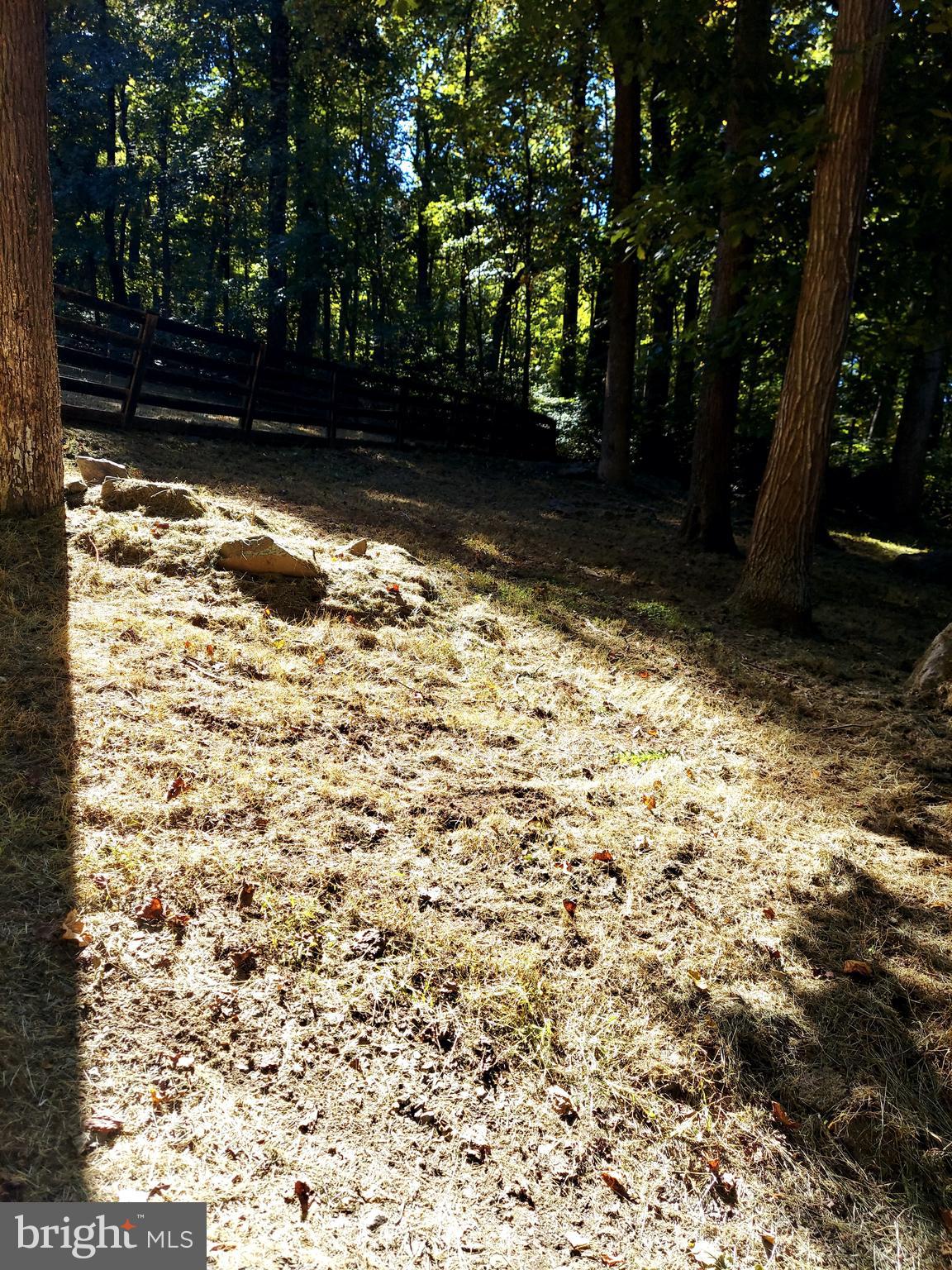 SHEN FARMS MT LAKE - Residential Lease