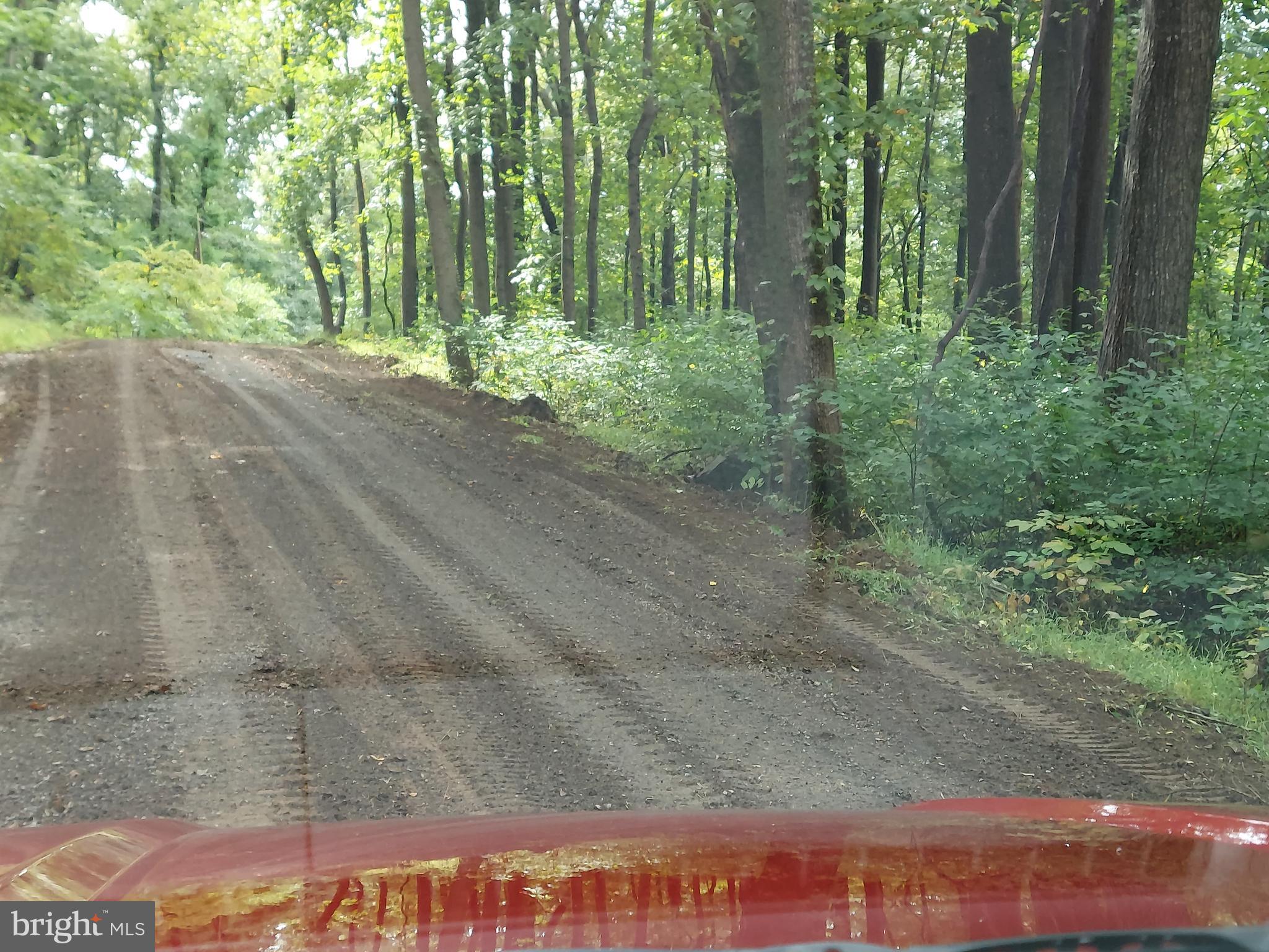 SHEN FARMS MT LAKE - Residential Lease