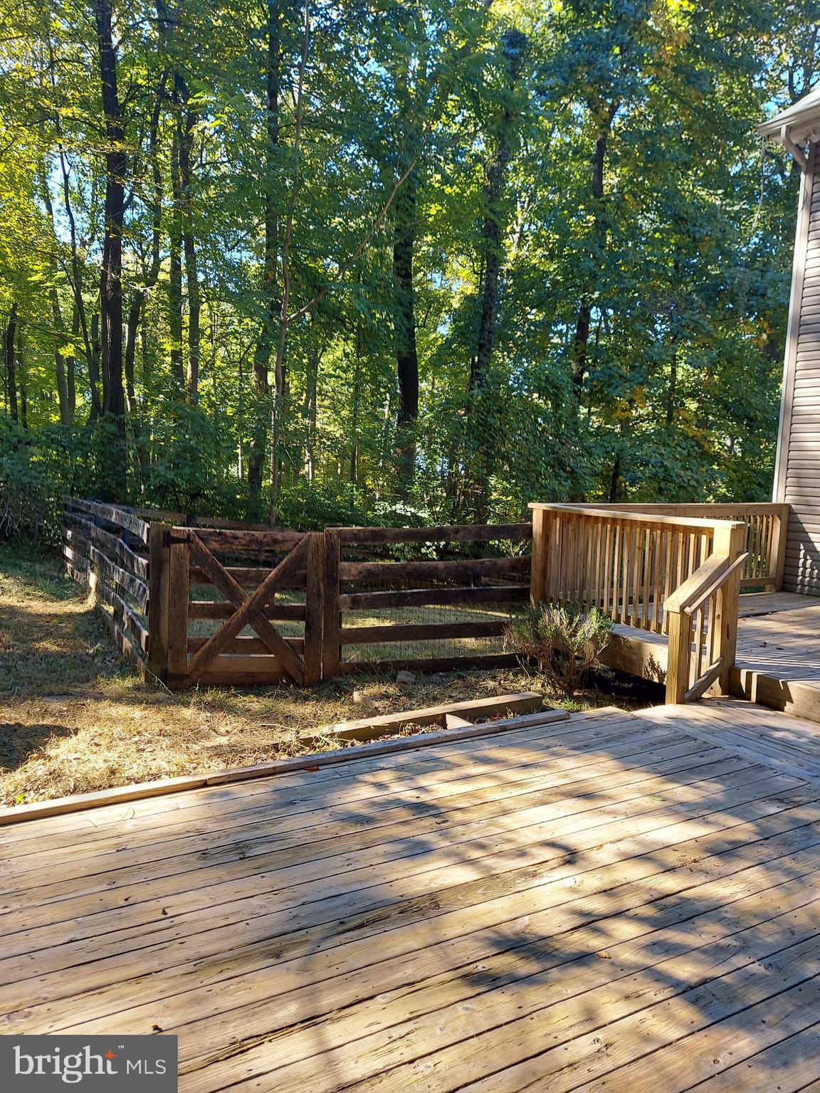 SHEN FARMS MT LAKE - Residential Lease