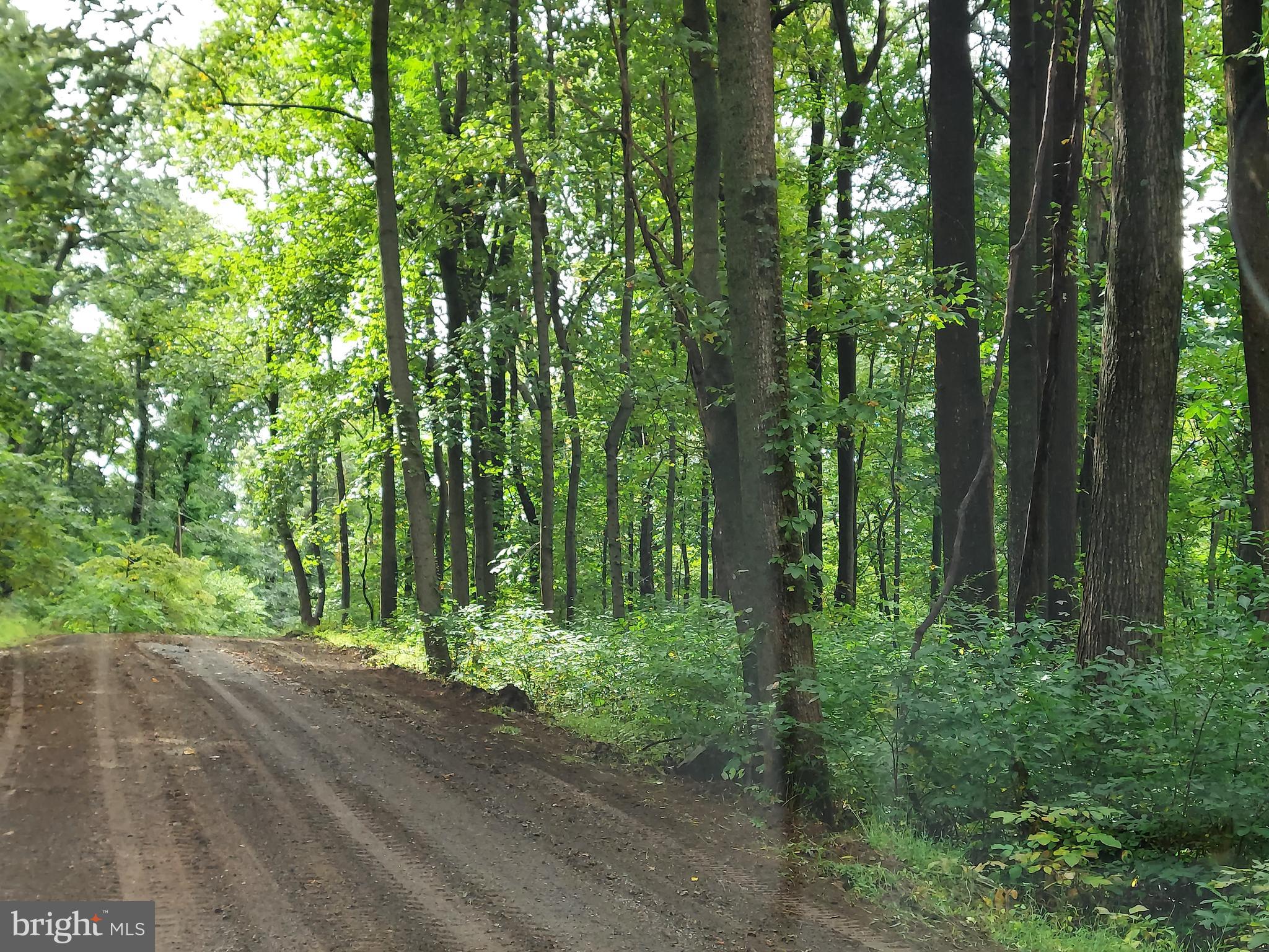 SHEN FARMS MT LAKE - Residential Lease