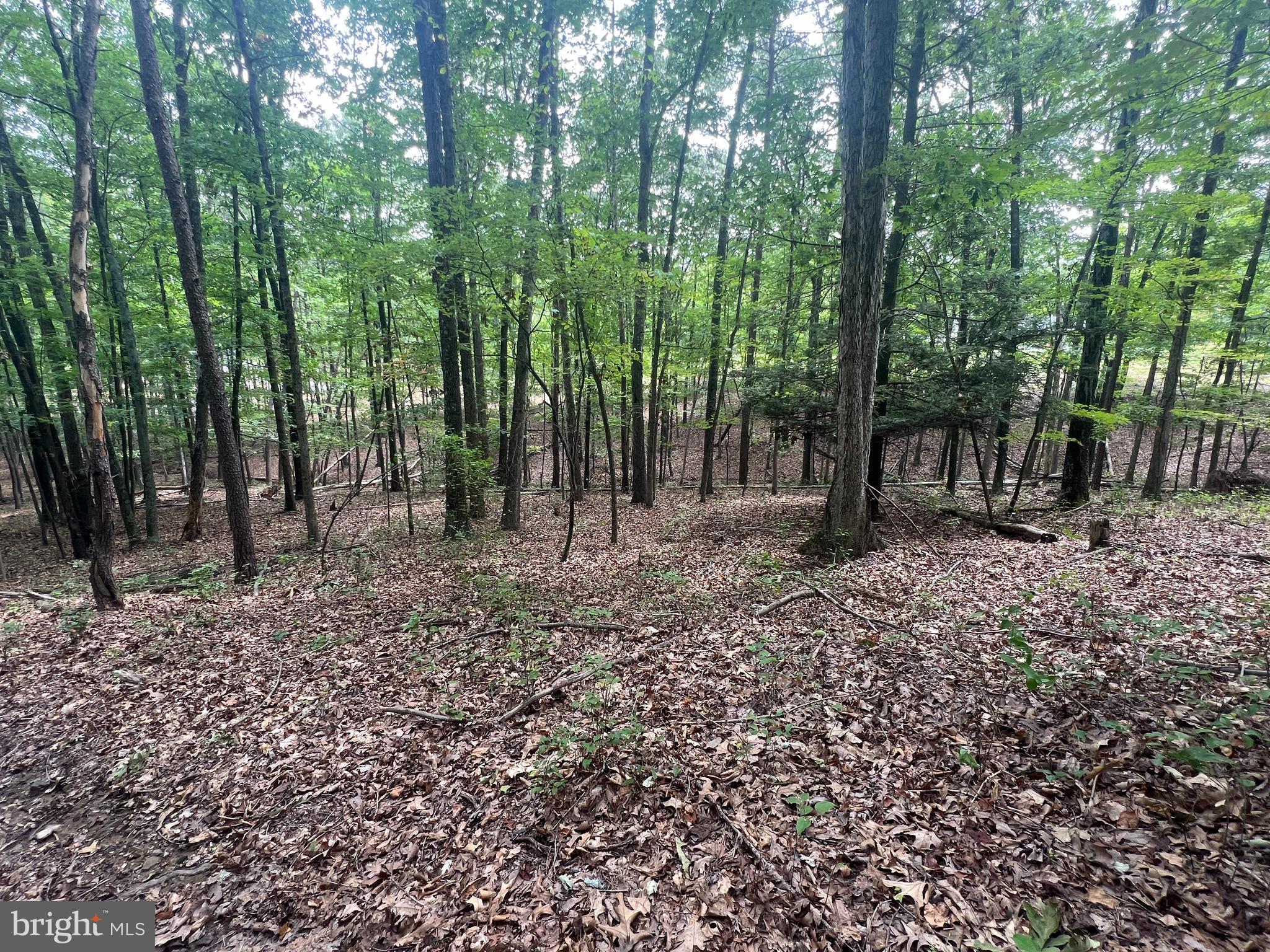 TWIN LAKES EAST - Land