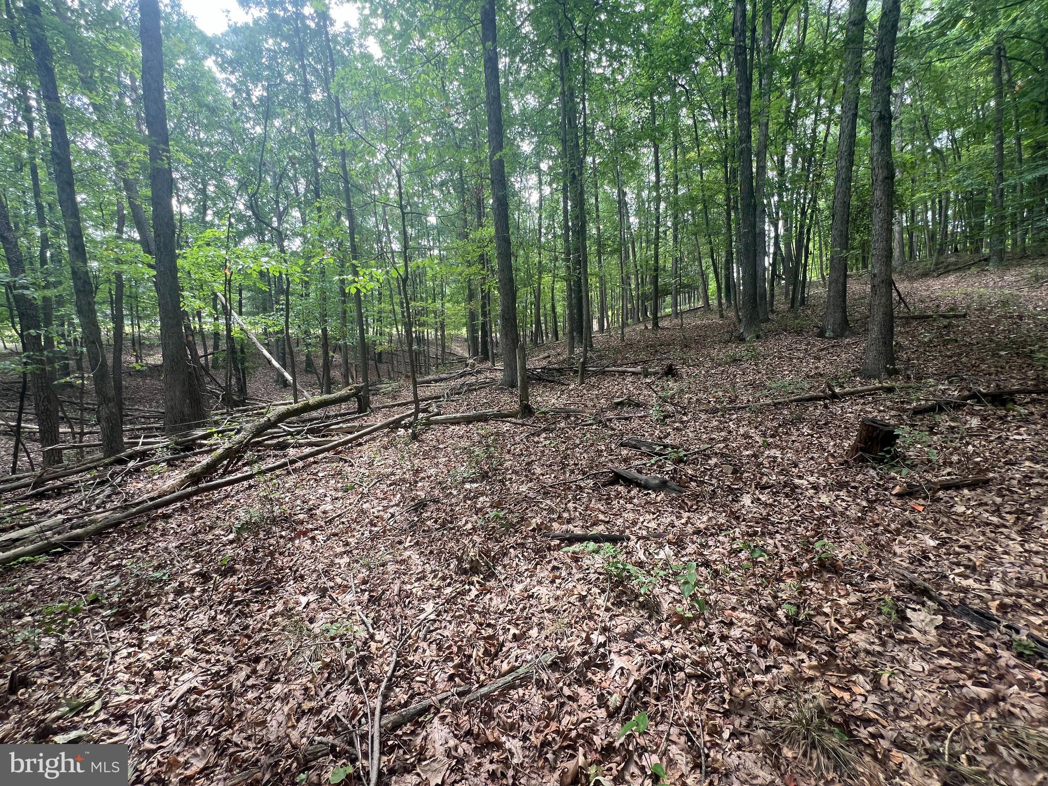 TWIN LAKES EAST - Land