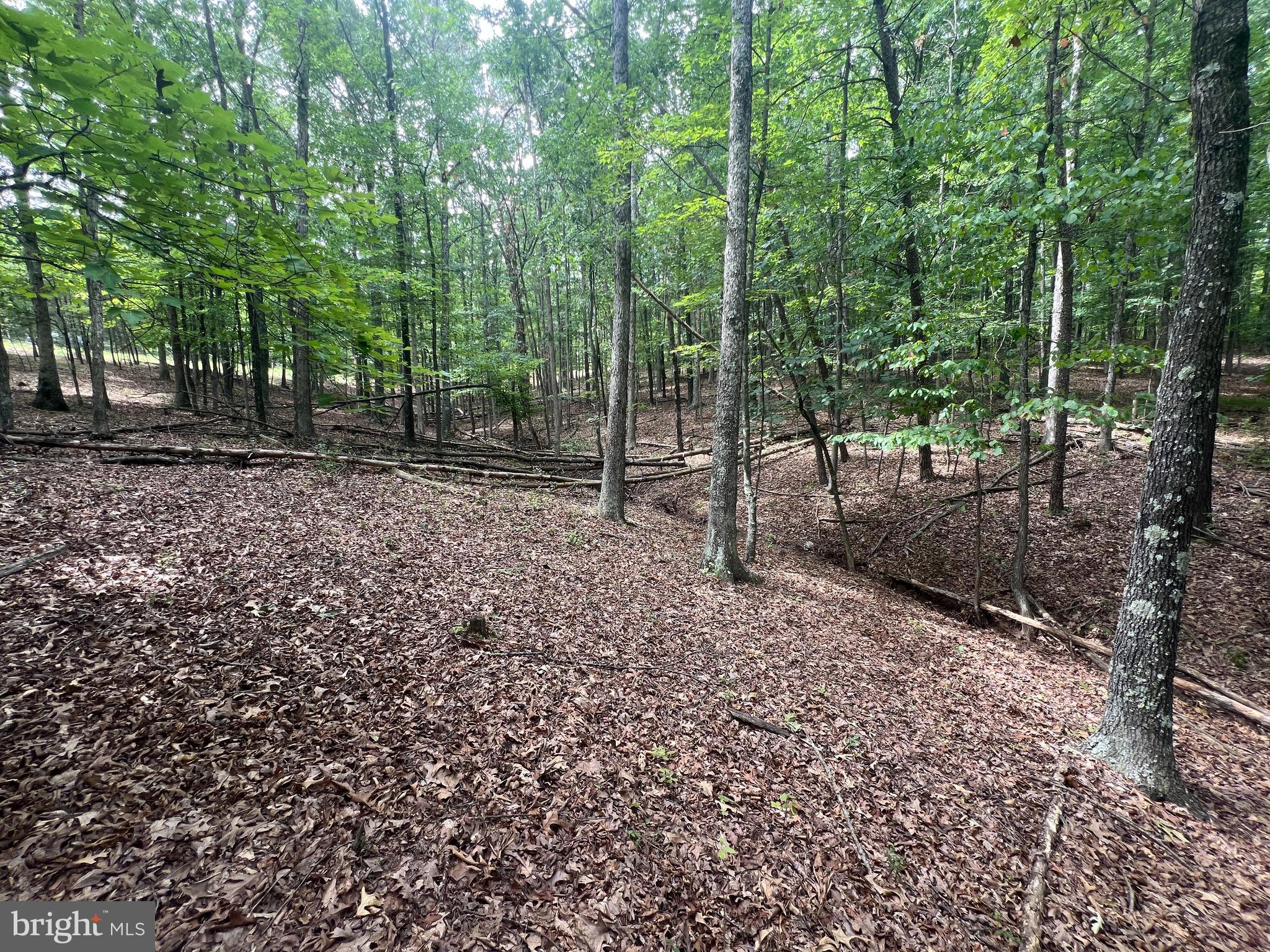 TWIN LAKES EAST - Land